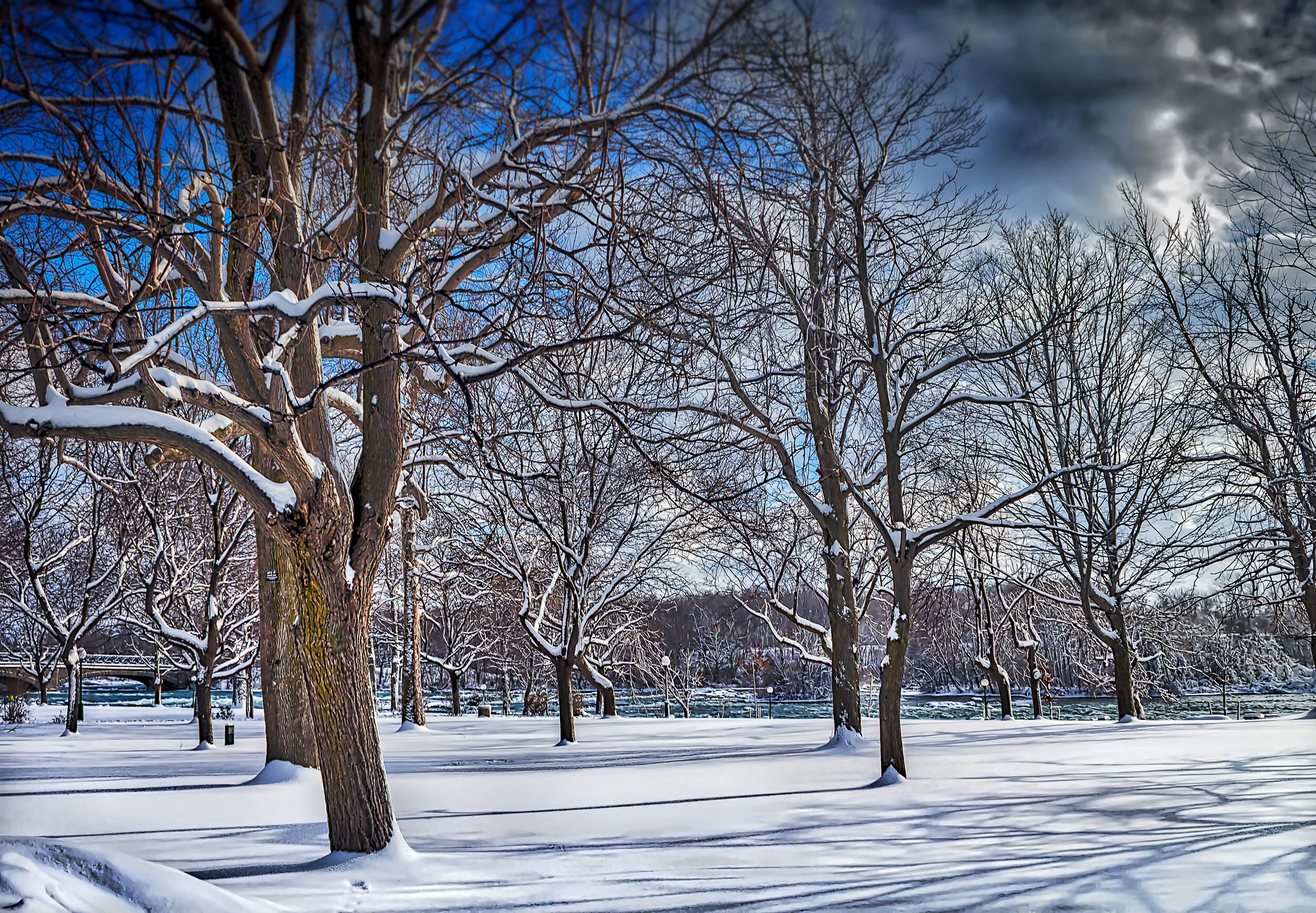 A Beautiful Winter Walk.jpg