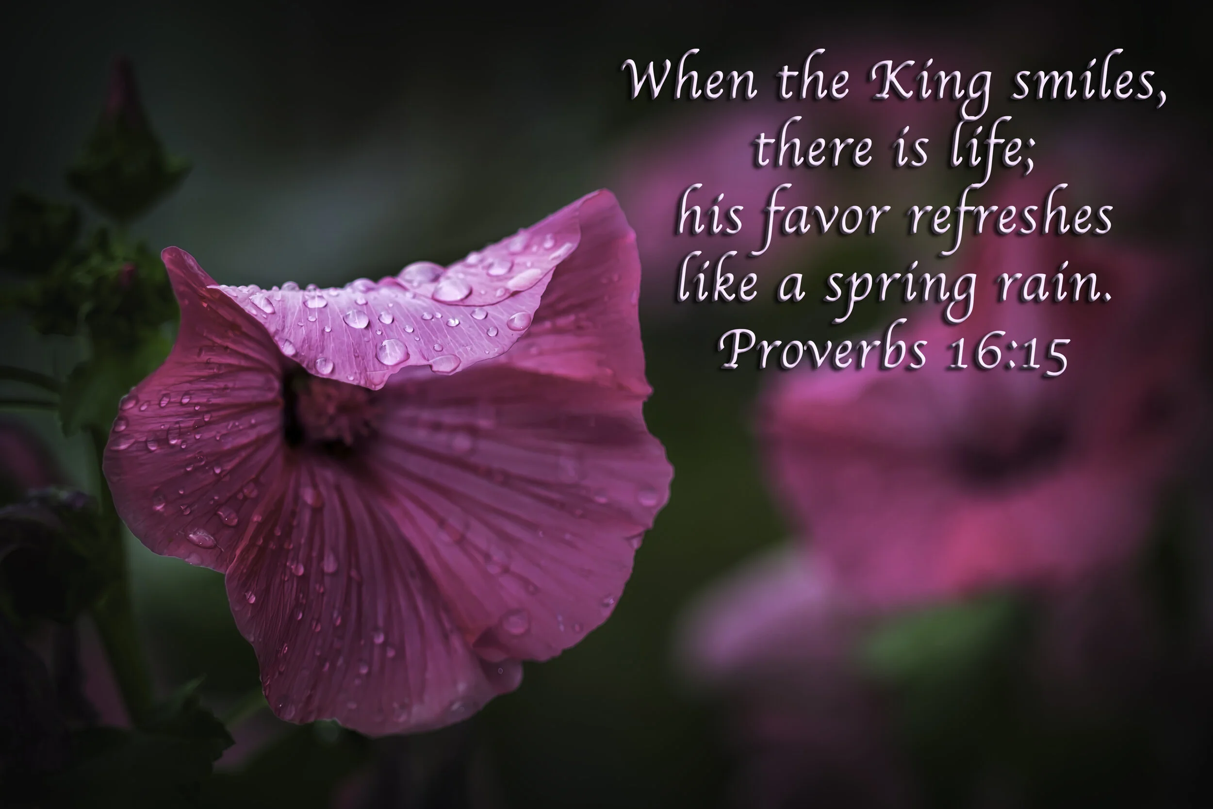 Dew Flower with Script.jpg