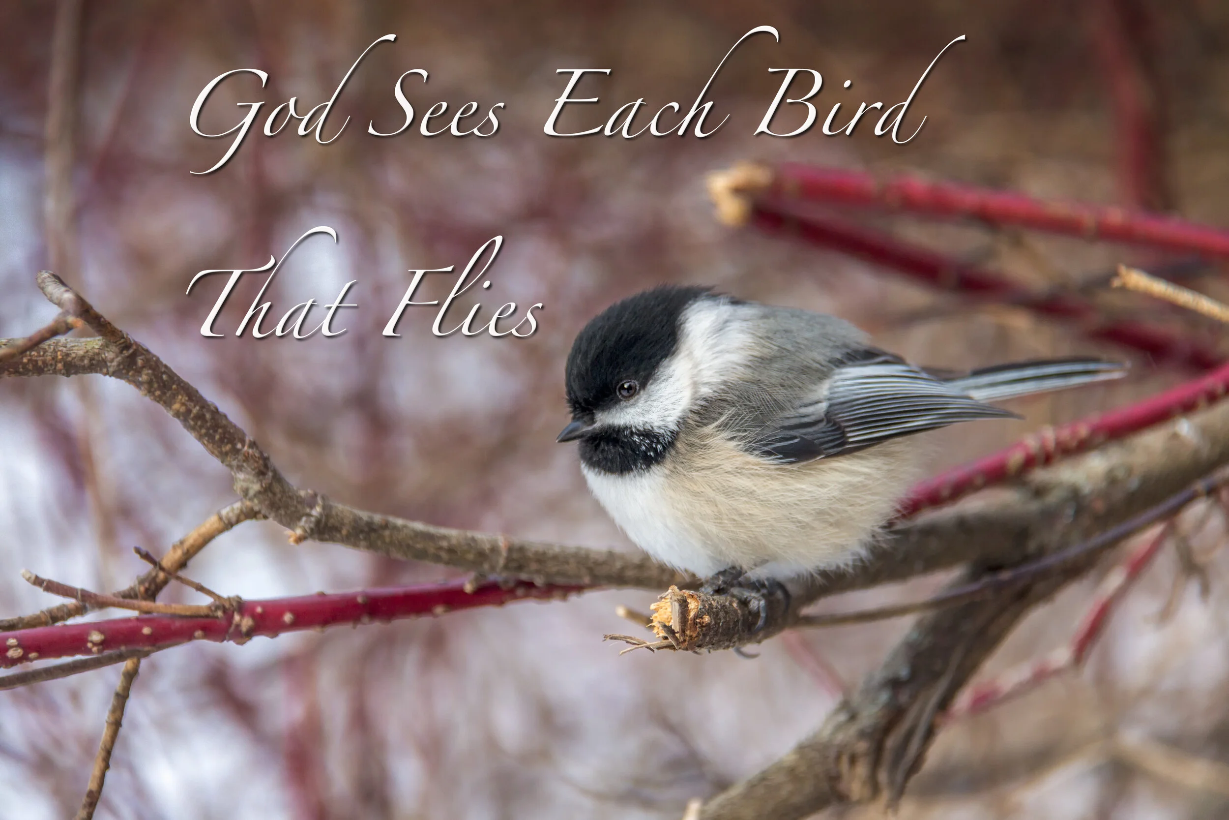 God Sees.jpg