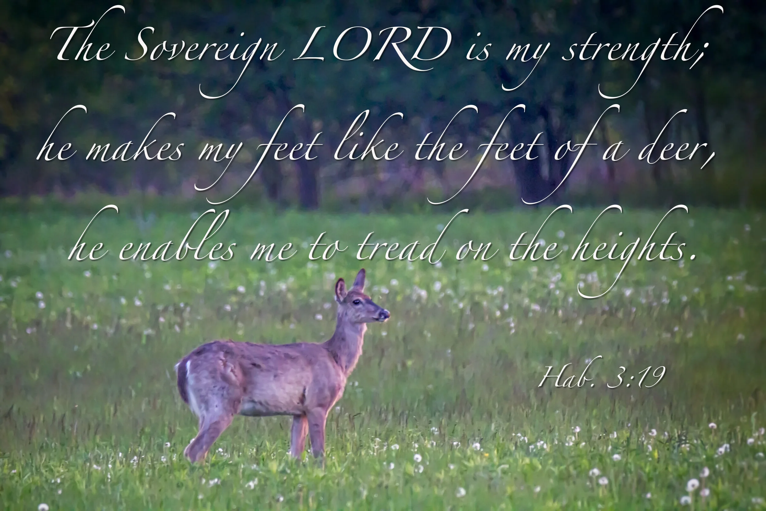 The Soverign Lord.jpg