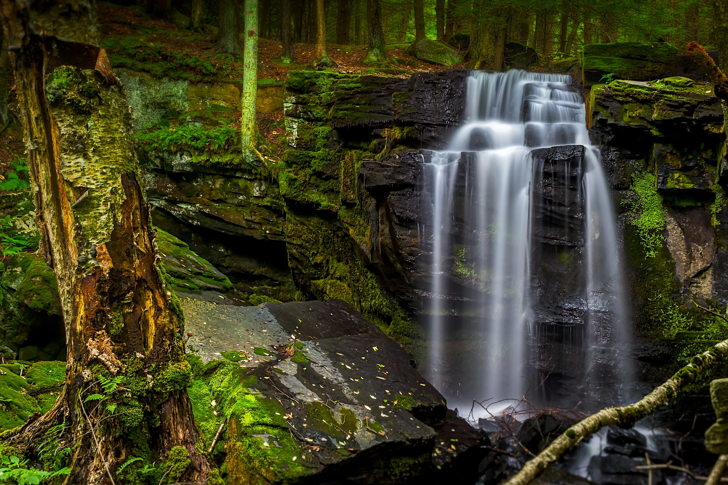Enchanted Waterfall.jpg