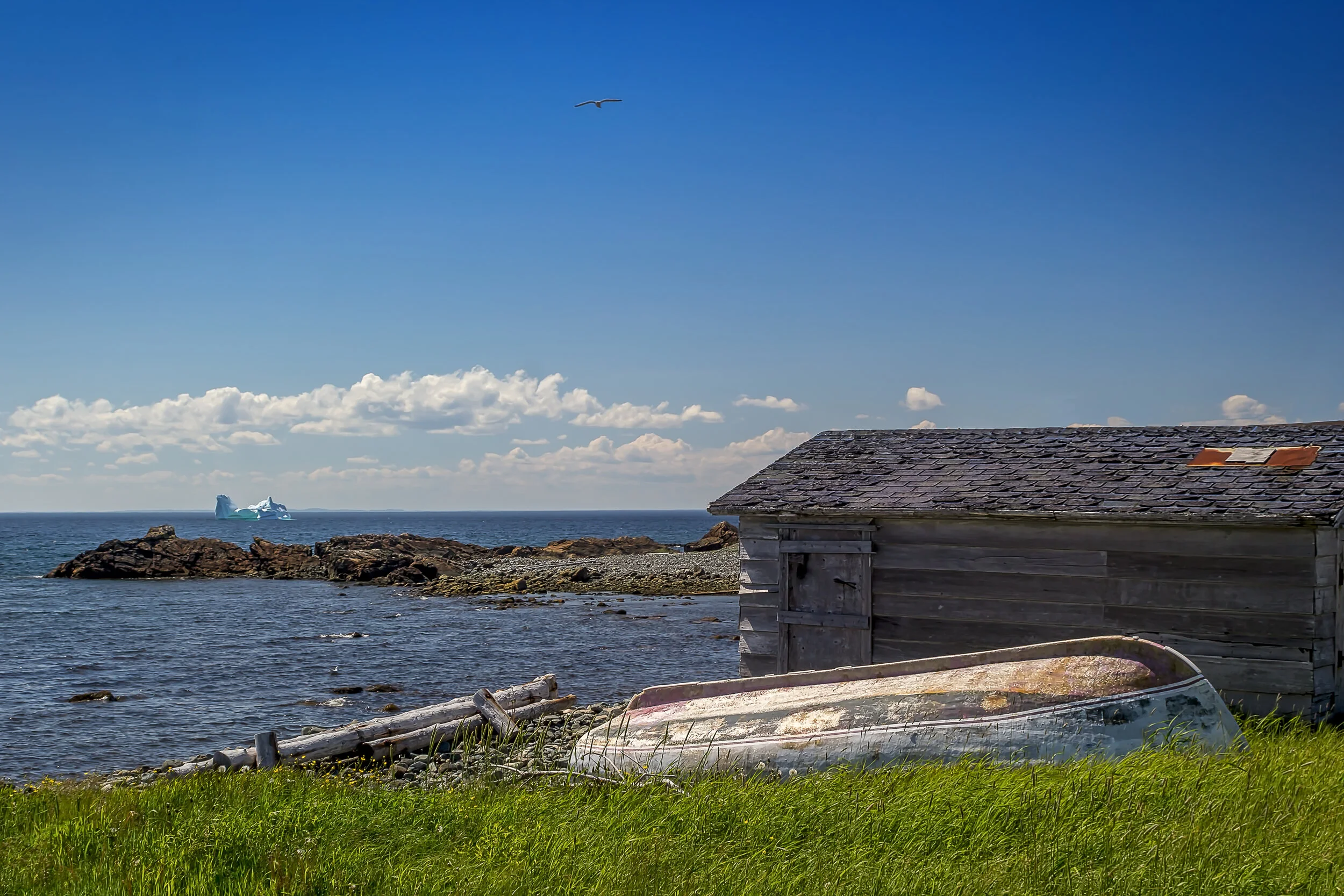 Bonavista Dry Dock.jpg