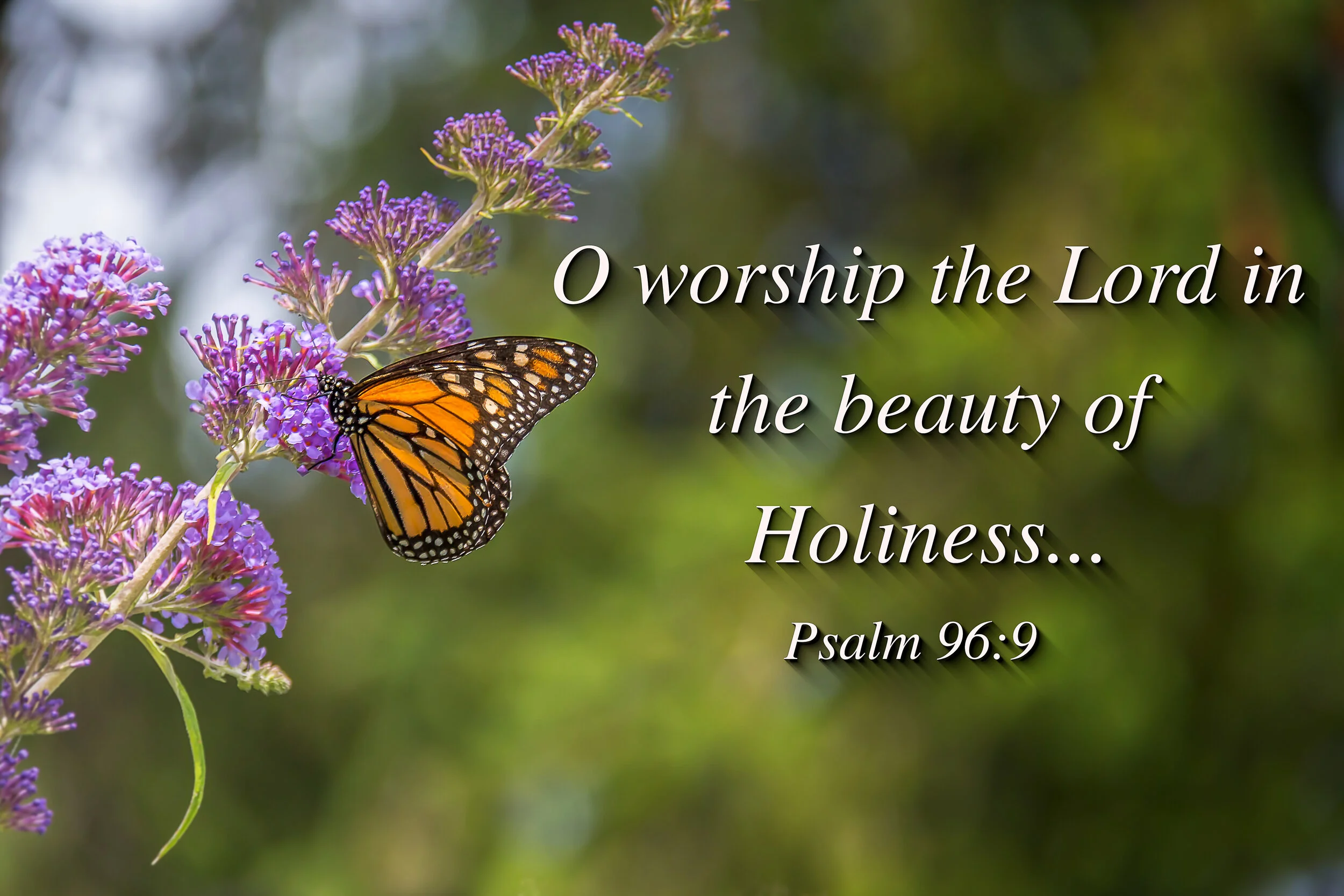 Beauty and Holiness 1.jpg