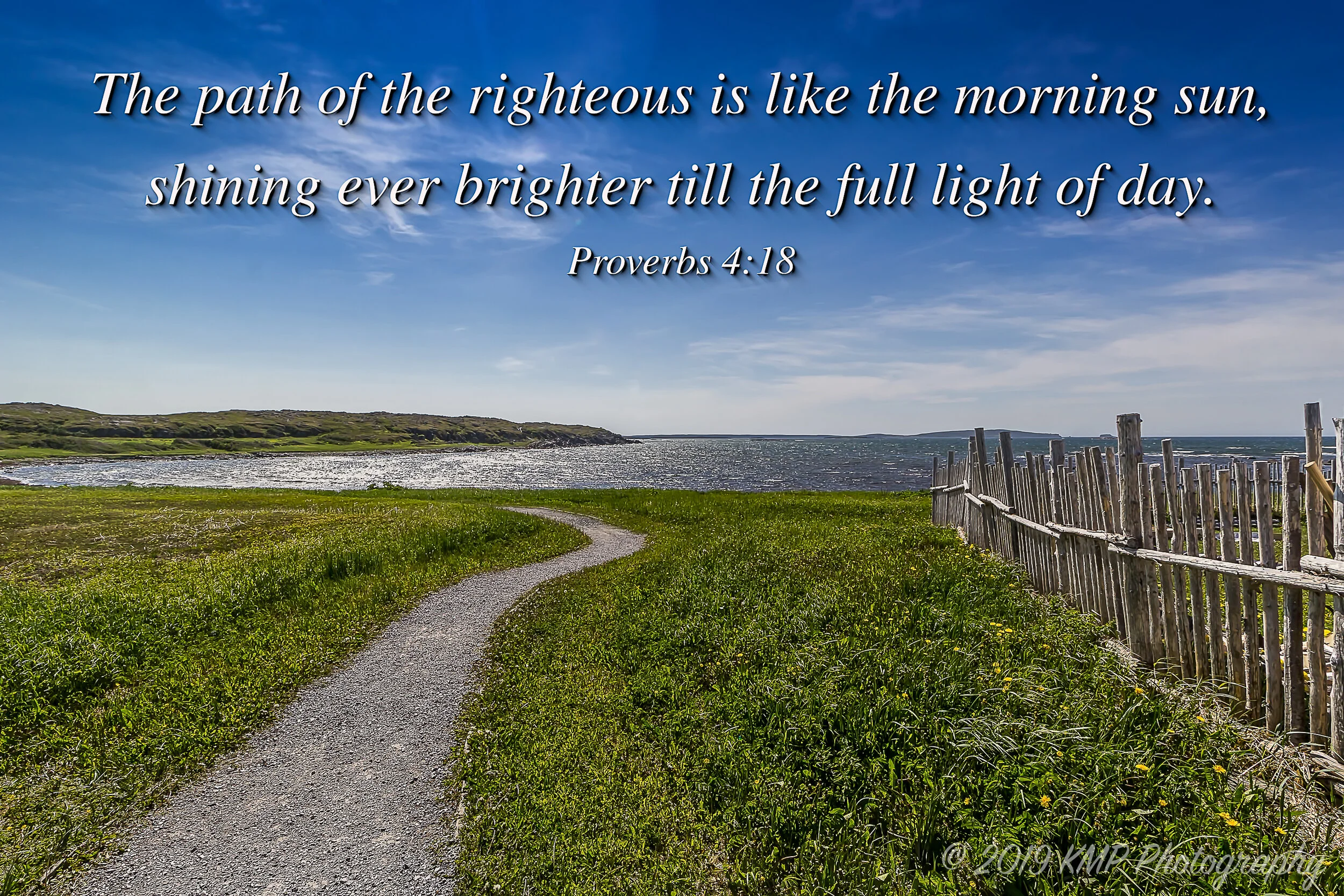 Full Light of Day copyright.jpg