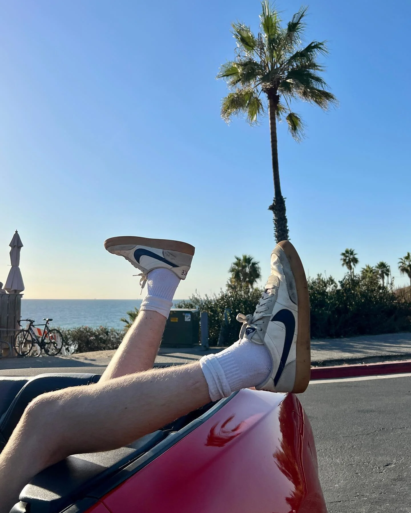 Chasing sunsets 😩🥴 stepping on stingrays 😳 drowning from waves 🌊 topless top down 😏 weekend covid 😷 breaking veganism for fish tacos 😊 squirrel condos 😍 I love California. Thank you thank you thank you ❤️❤️❤️