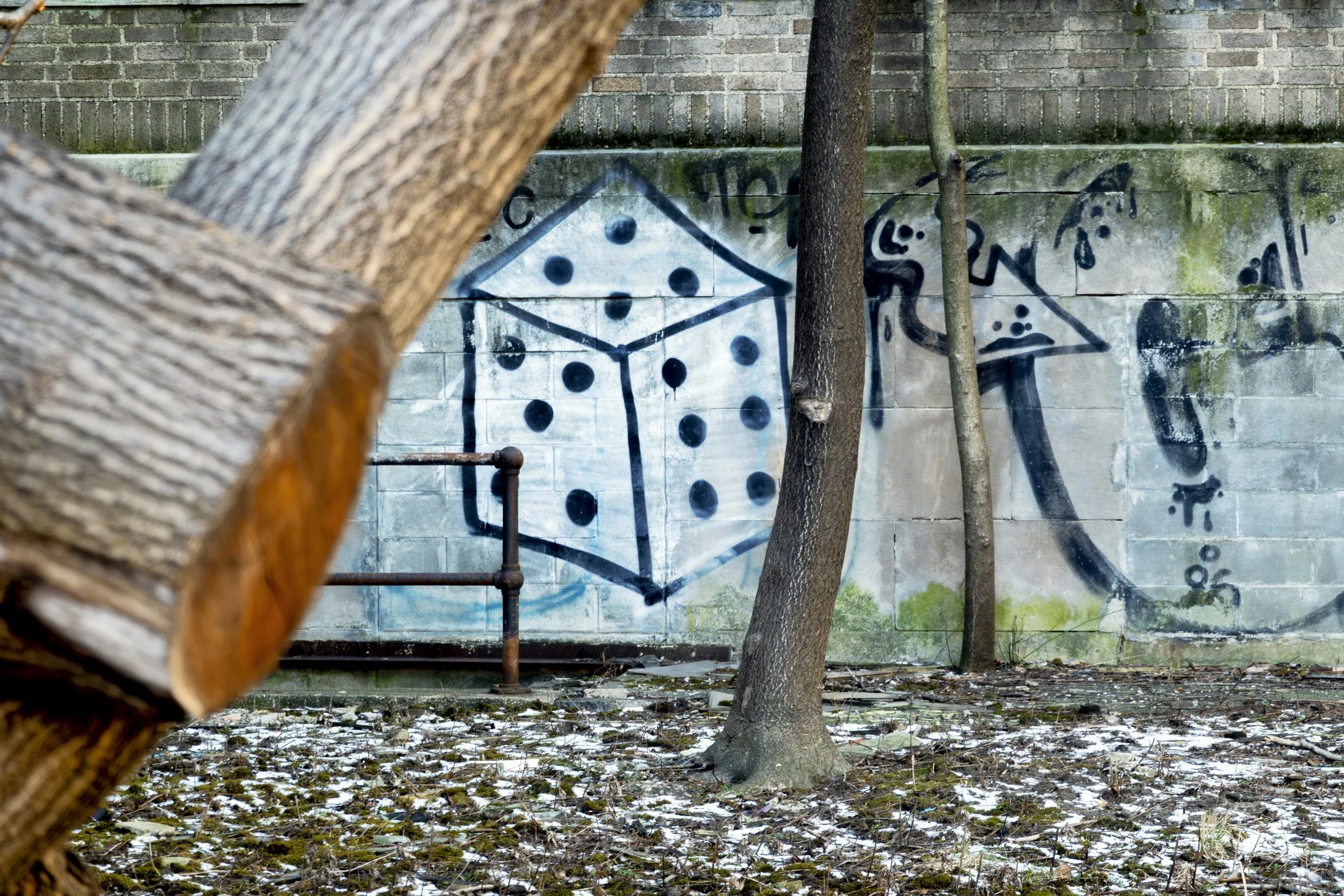 Dice-walking-street-grffiti-williamsburgDSC07473-Enhanced-NR.jpg