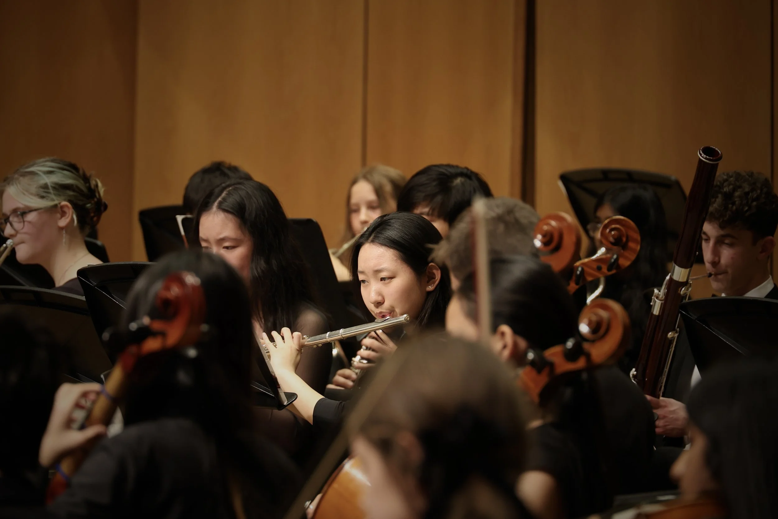 10_Concert Orchestra 8_Line Srinivasan.JPG