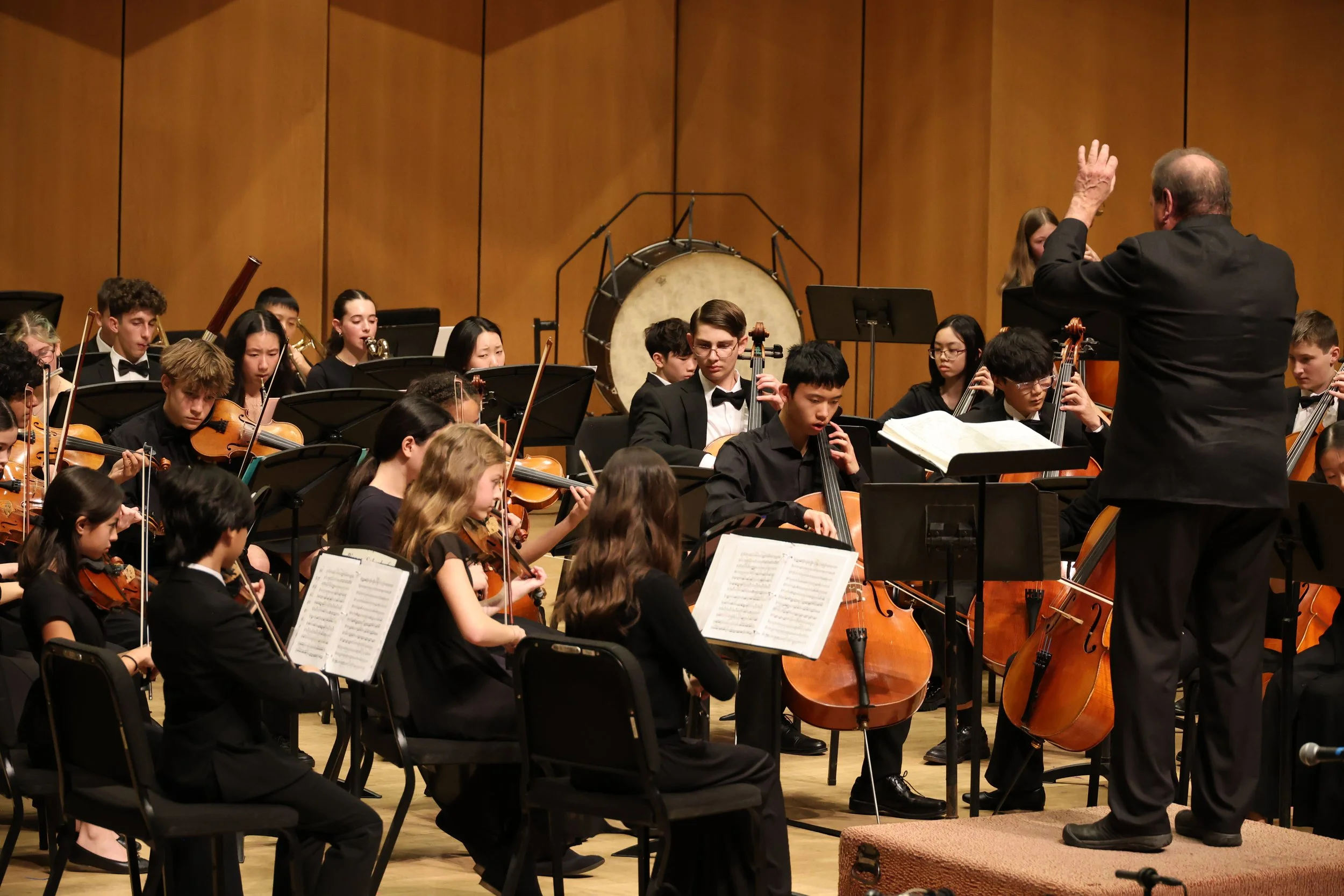 12_Concert Orchestra 3_Line Srinivasan.JPG