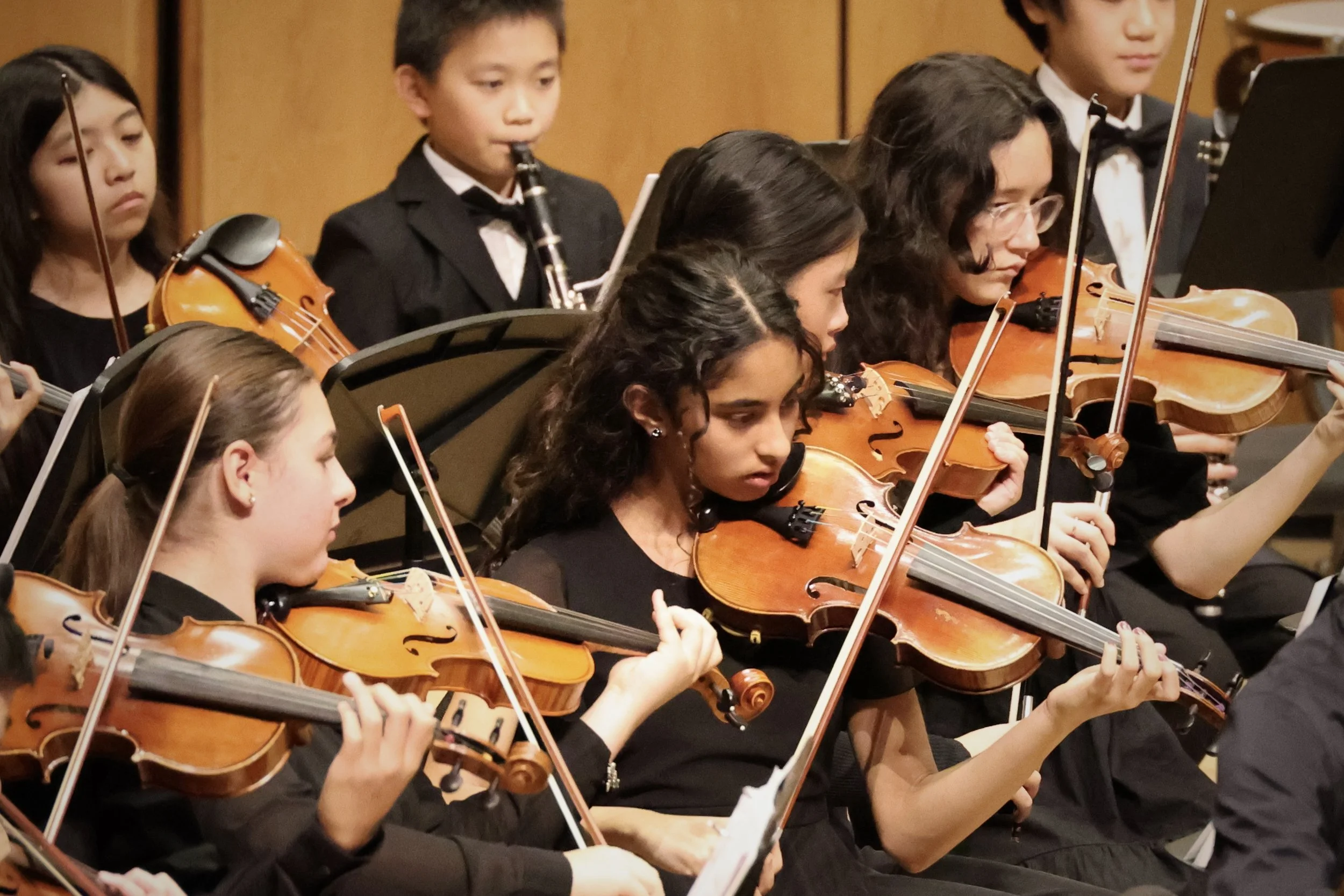 13_Concert Orchestra 5_Line Srinivasan.JPG