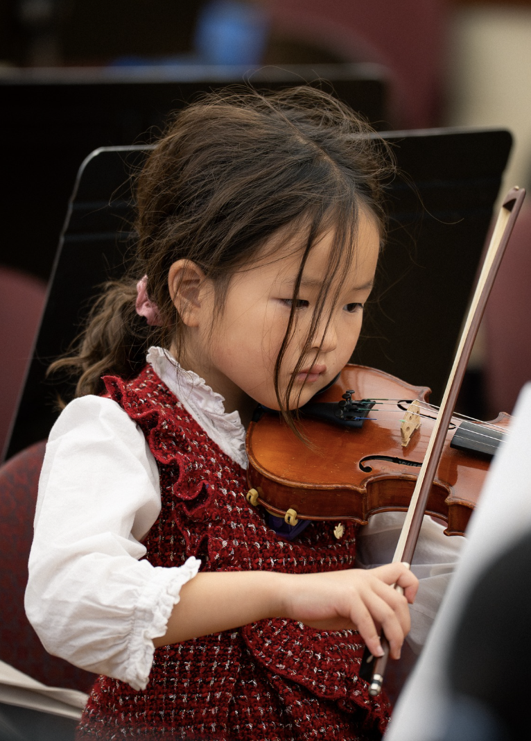 Young violinist playing the violin