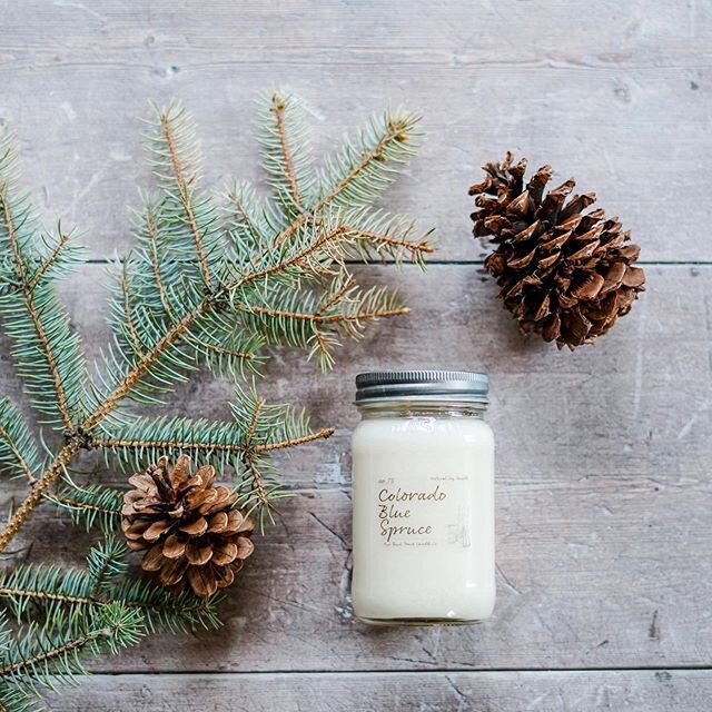 If you aren&rsquo;t able to make it up to the mountains, this is the perfect way to bring the smell of the mountains into your home ⛰
&bull;
&bull;
&bull;
#candle #candles #soycandle #soywaxcandles #soycandles #handmade #homedecor #home #gifts #soywa