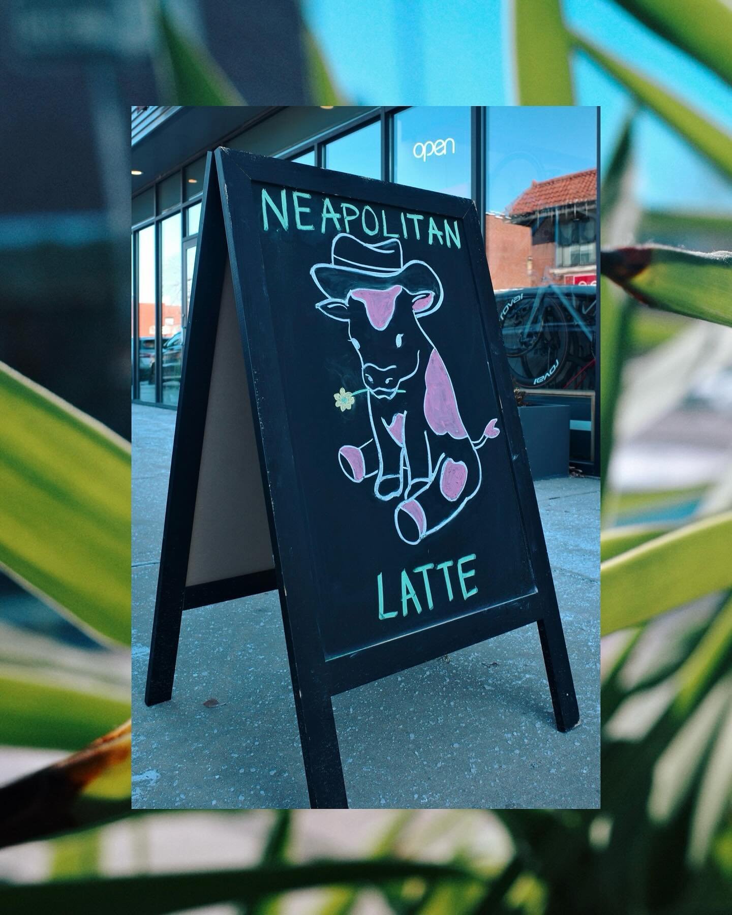 Just added a seasonal Neapolitan Latte, available hot or cold. Come and taste it today! 
🐮🤍🩷🤎☕️