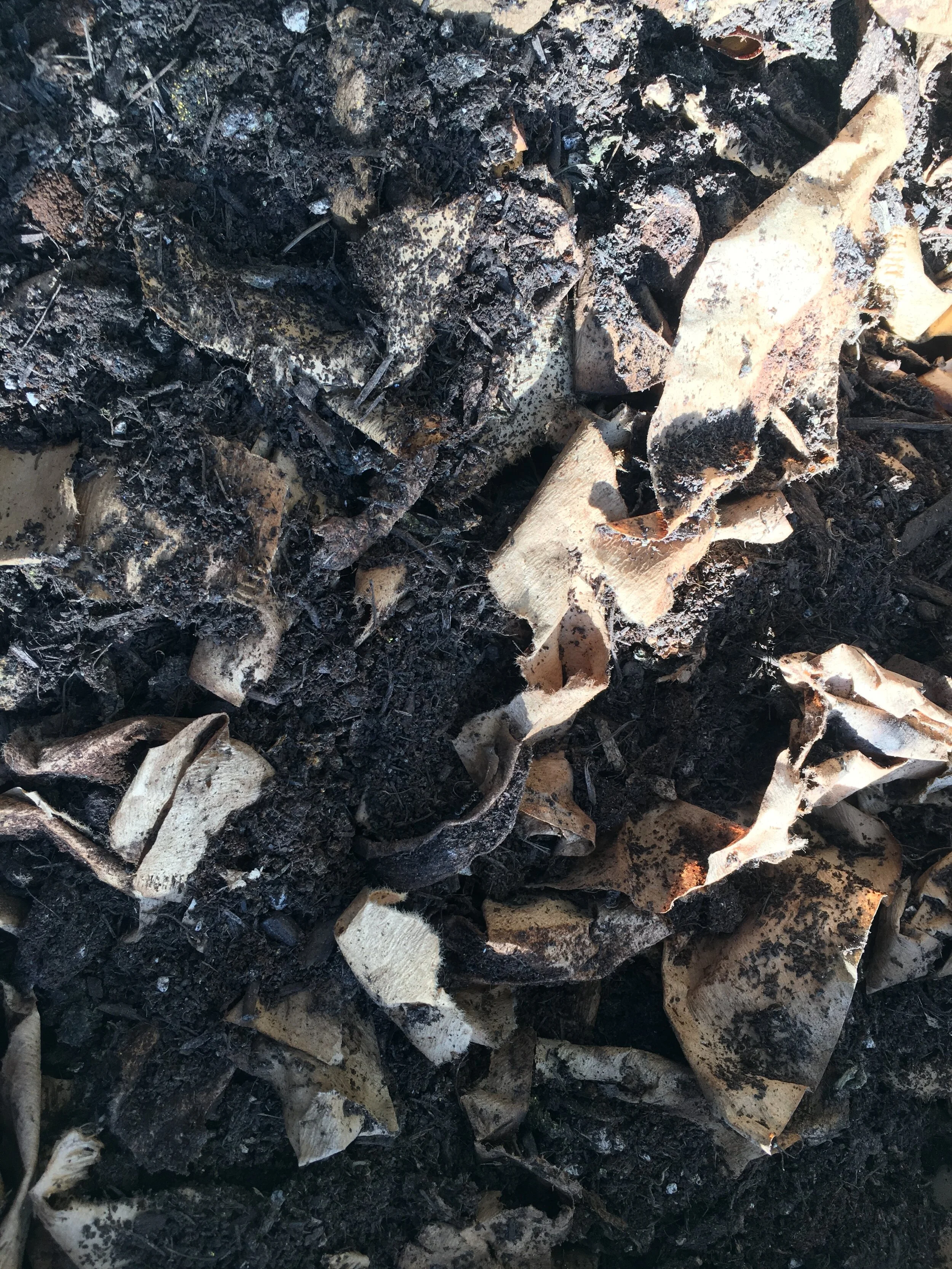 The Magic of Compost and Pain