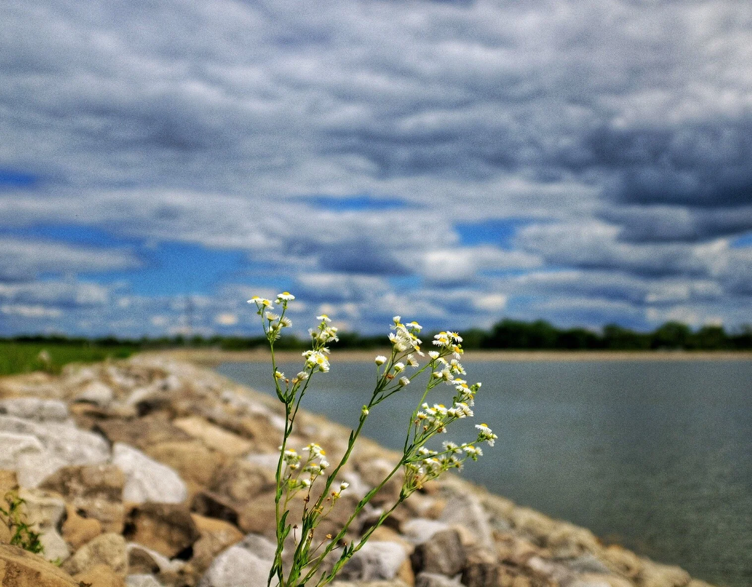 I'm Sorry, Barry Manilow...