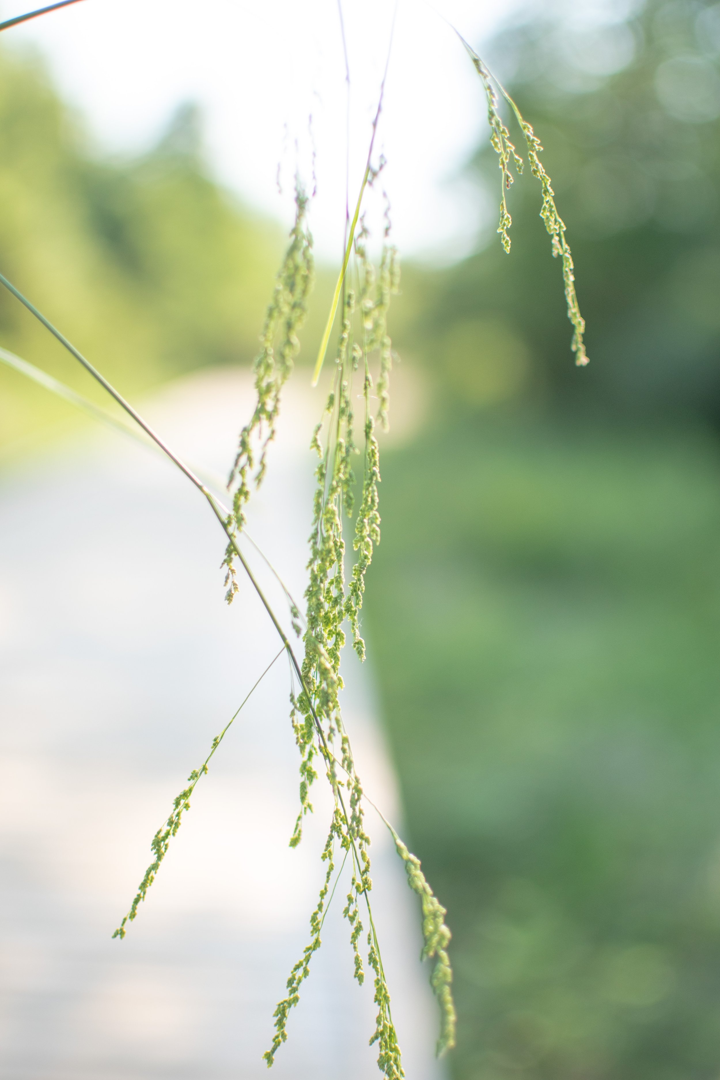 What To Do If You Lack Joy