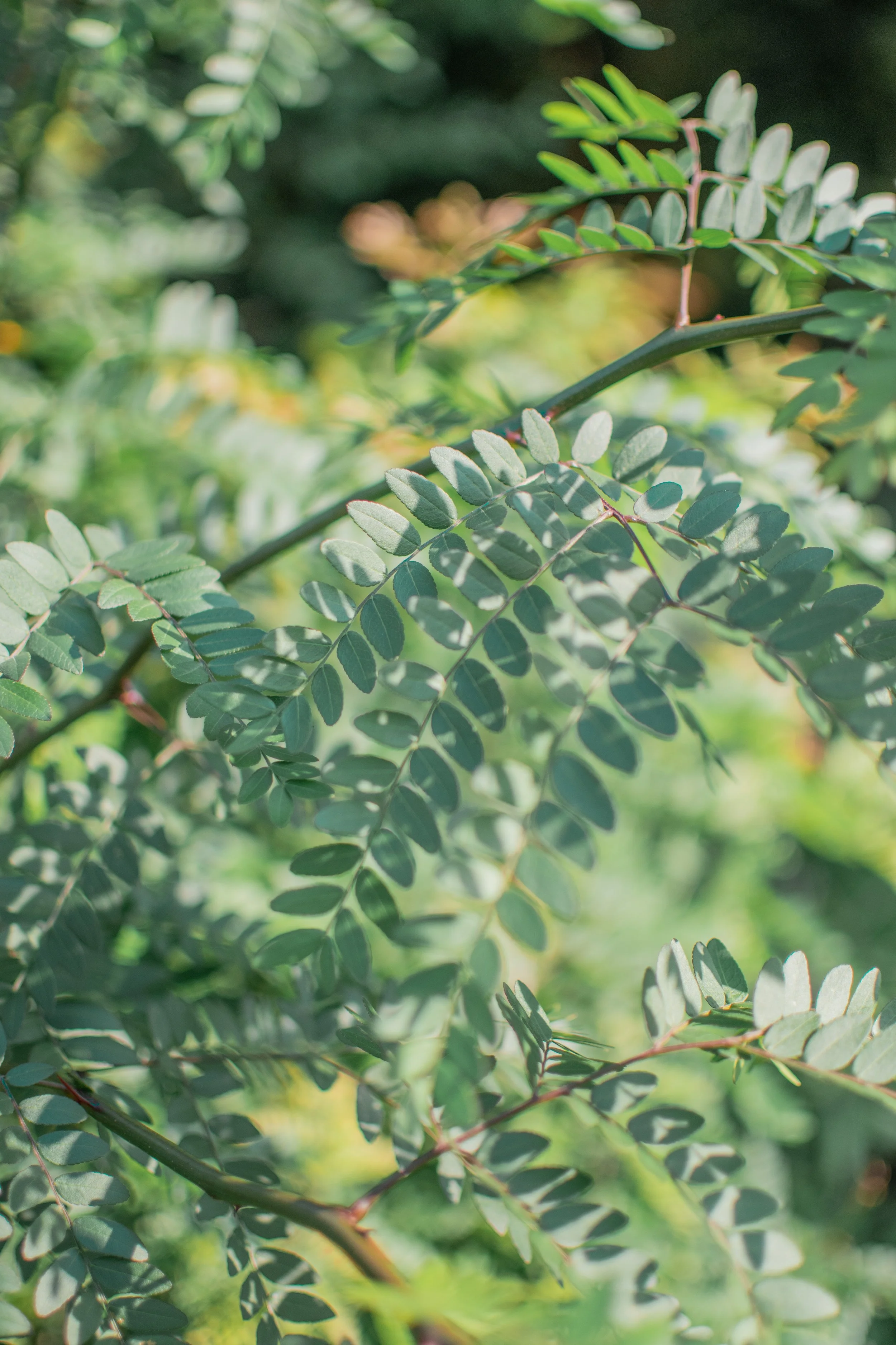 Why It’s Hard to Change Our Minds