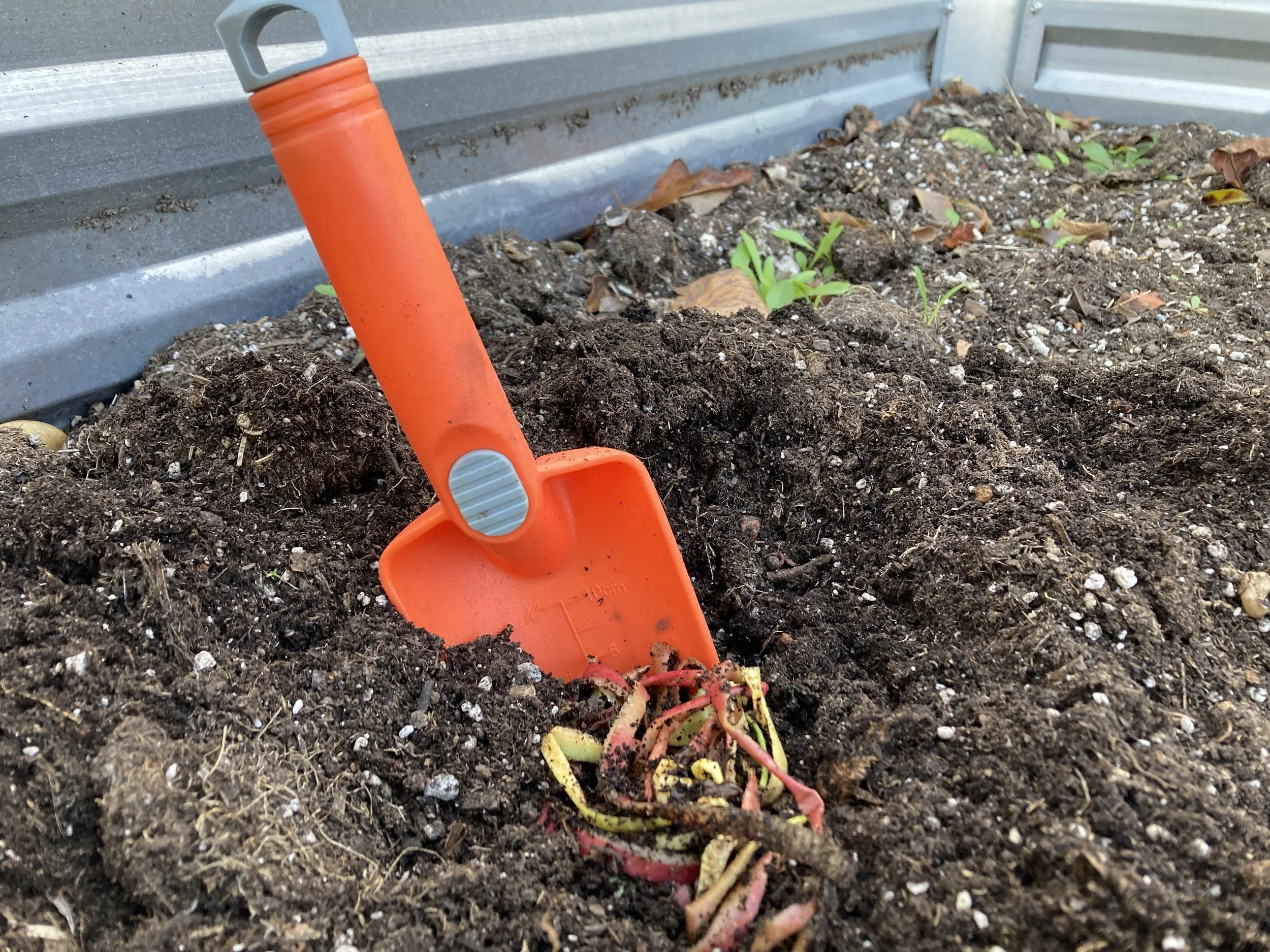 Composting for a New Year