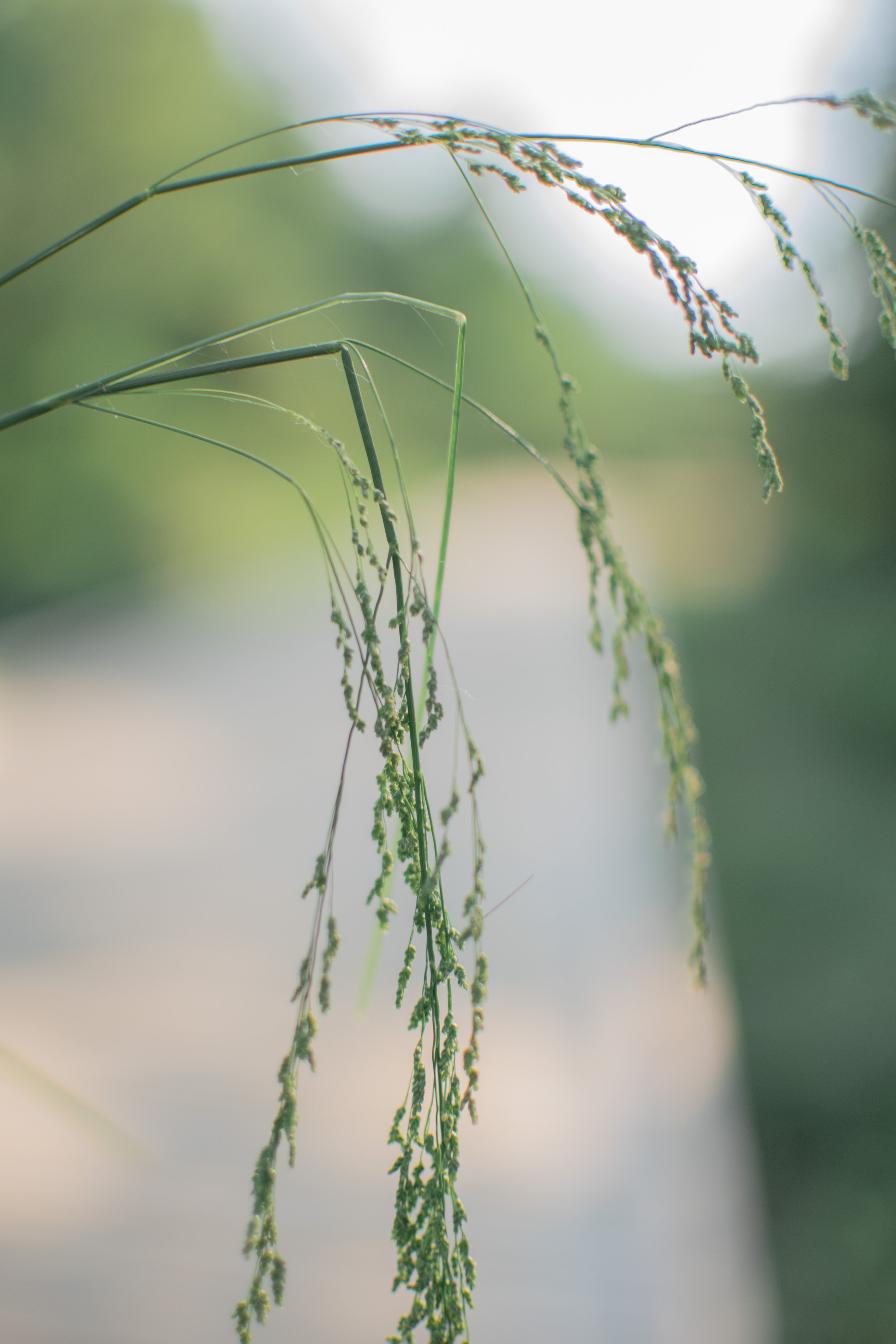 The Risk of Listening