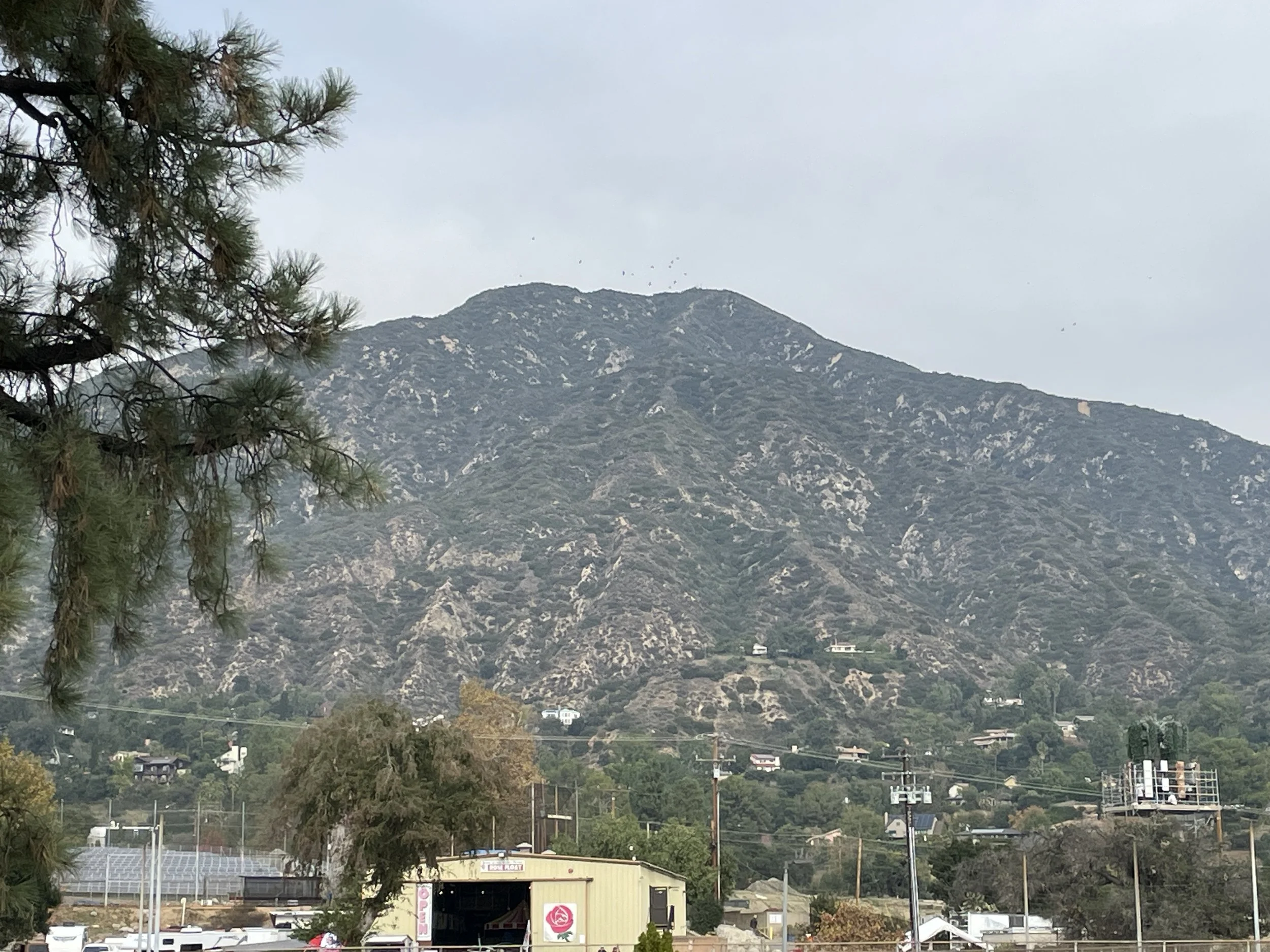 Celebrating a Long Life