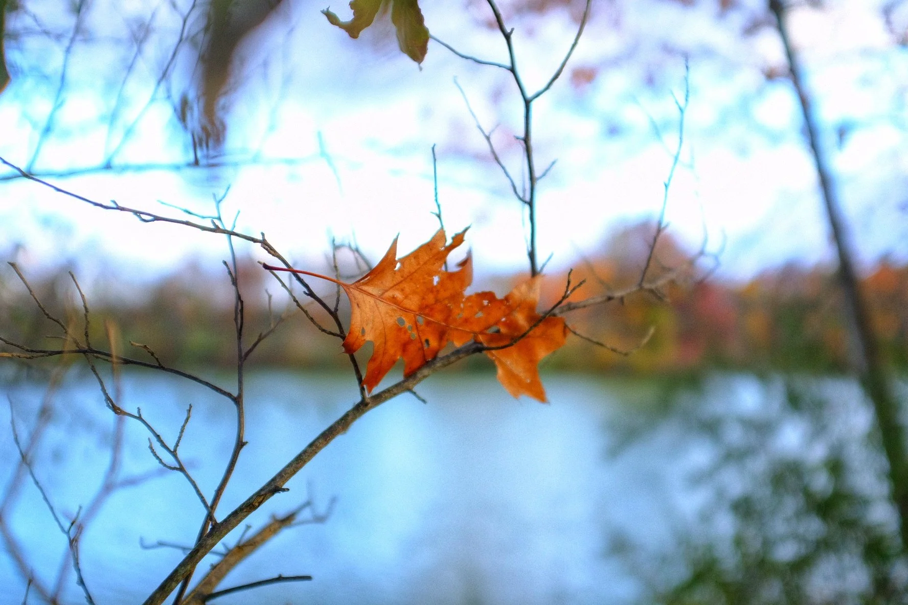 The Stories We Tell Ourselves – Part  2&nbsp;