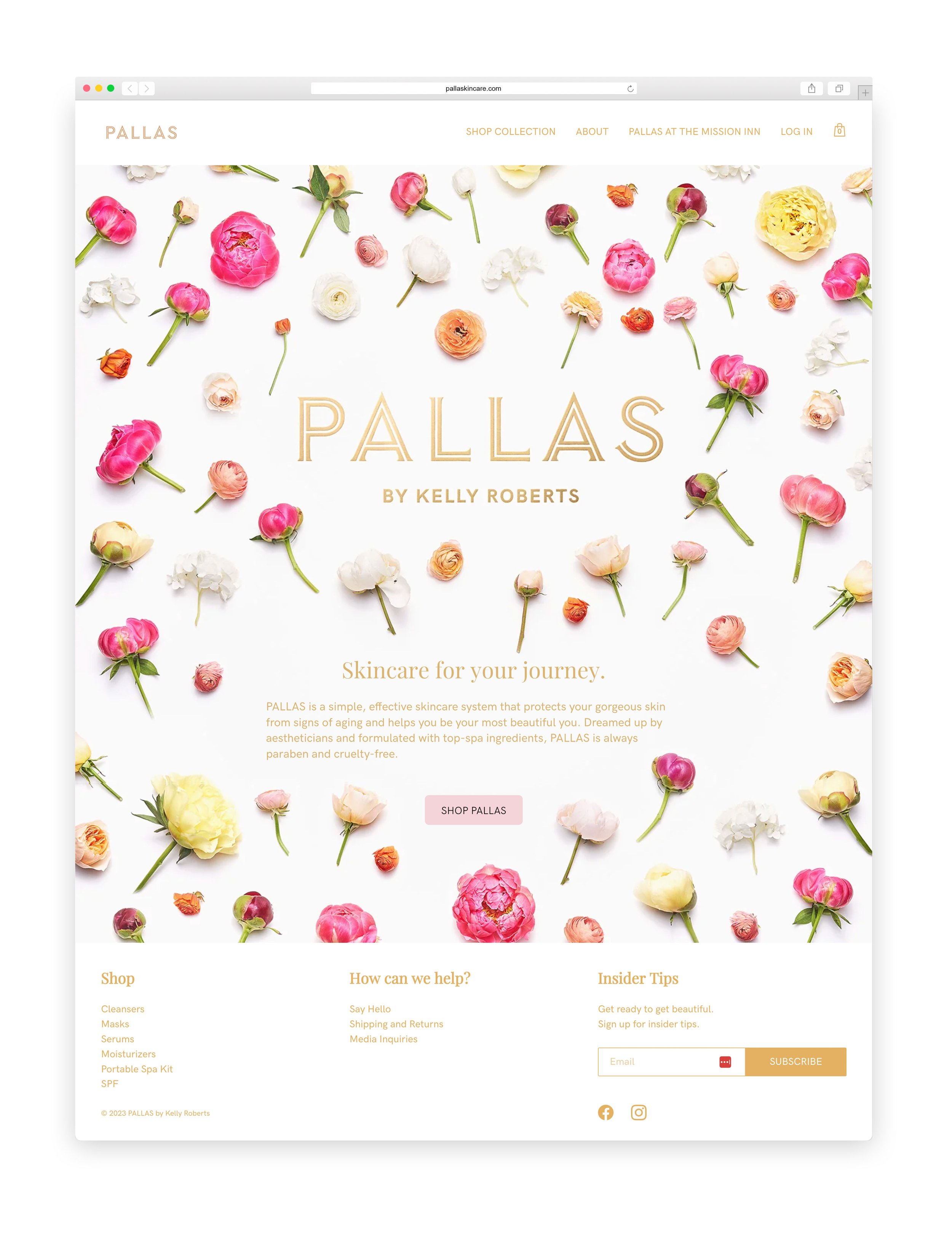 PALLAS_website_homepage.jpg