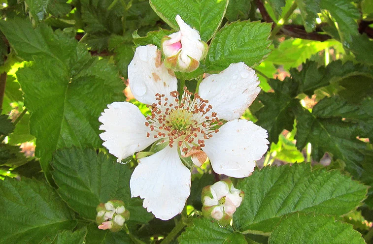 gallery_17.jpg