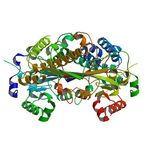 MTR_Ribbon_view.jpg