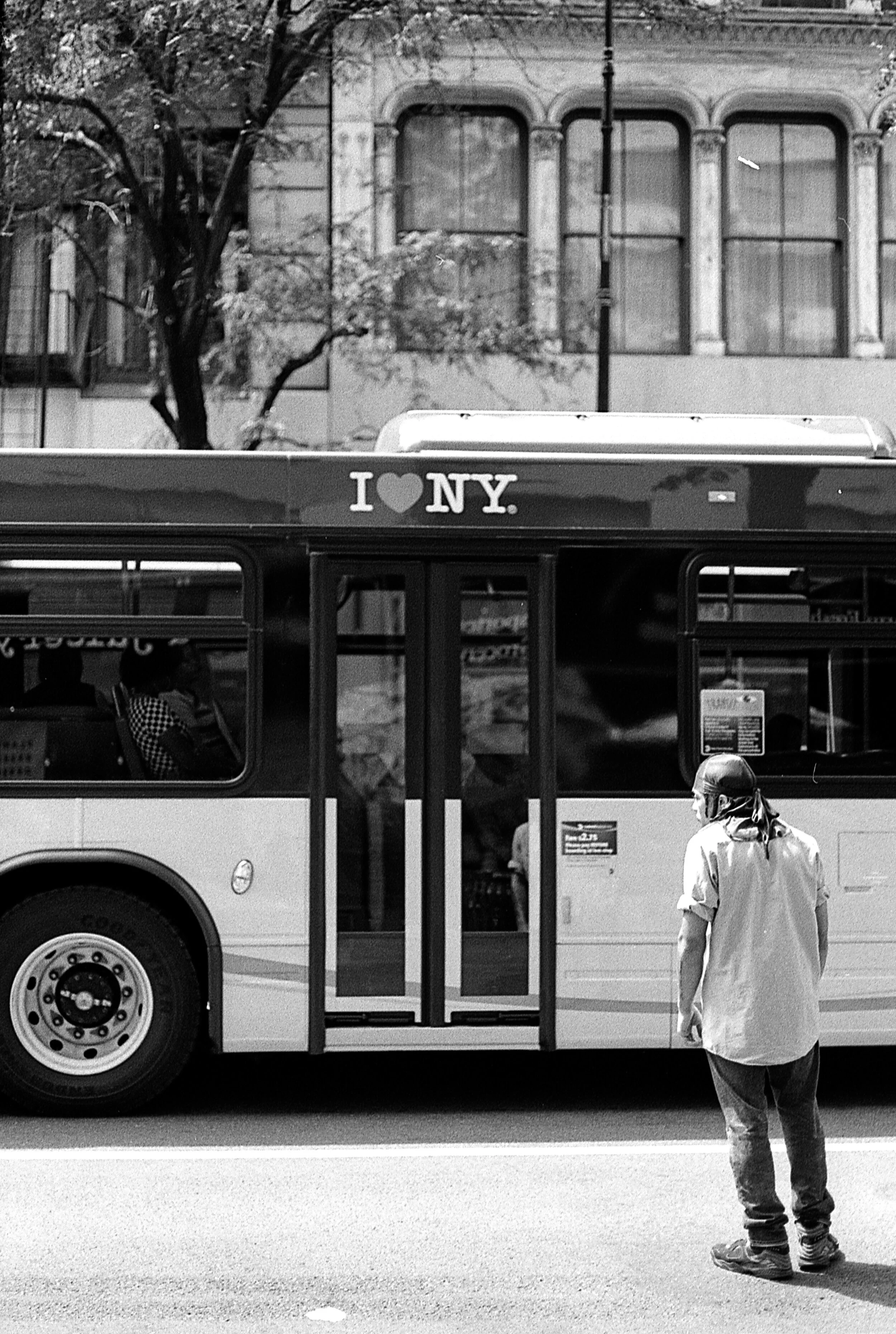 img225.jpg
