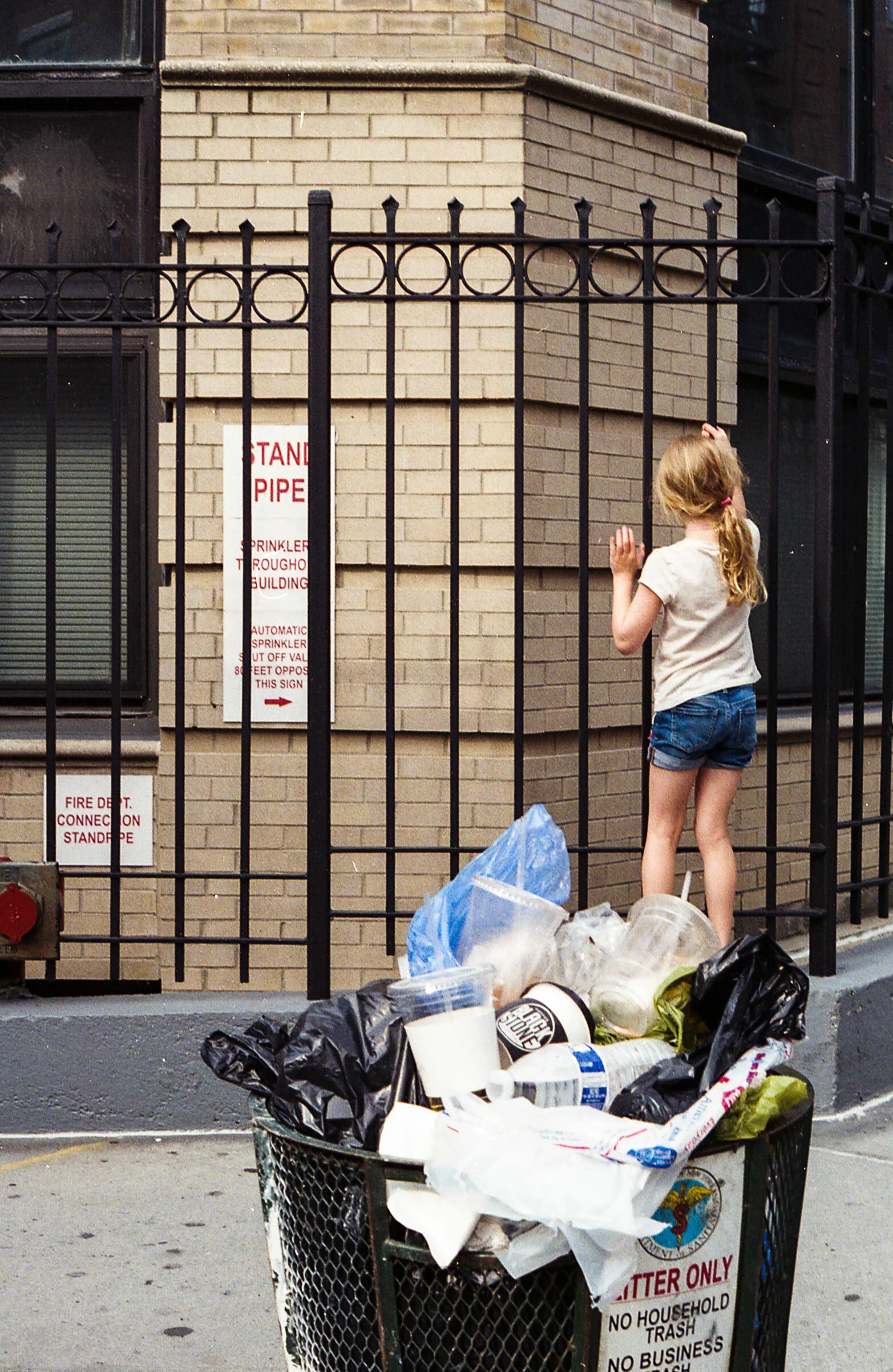 img337-2.jpg