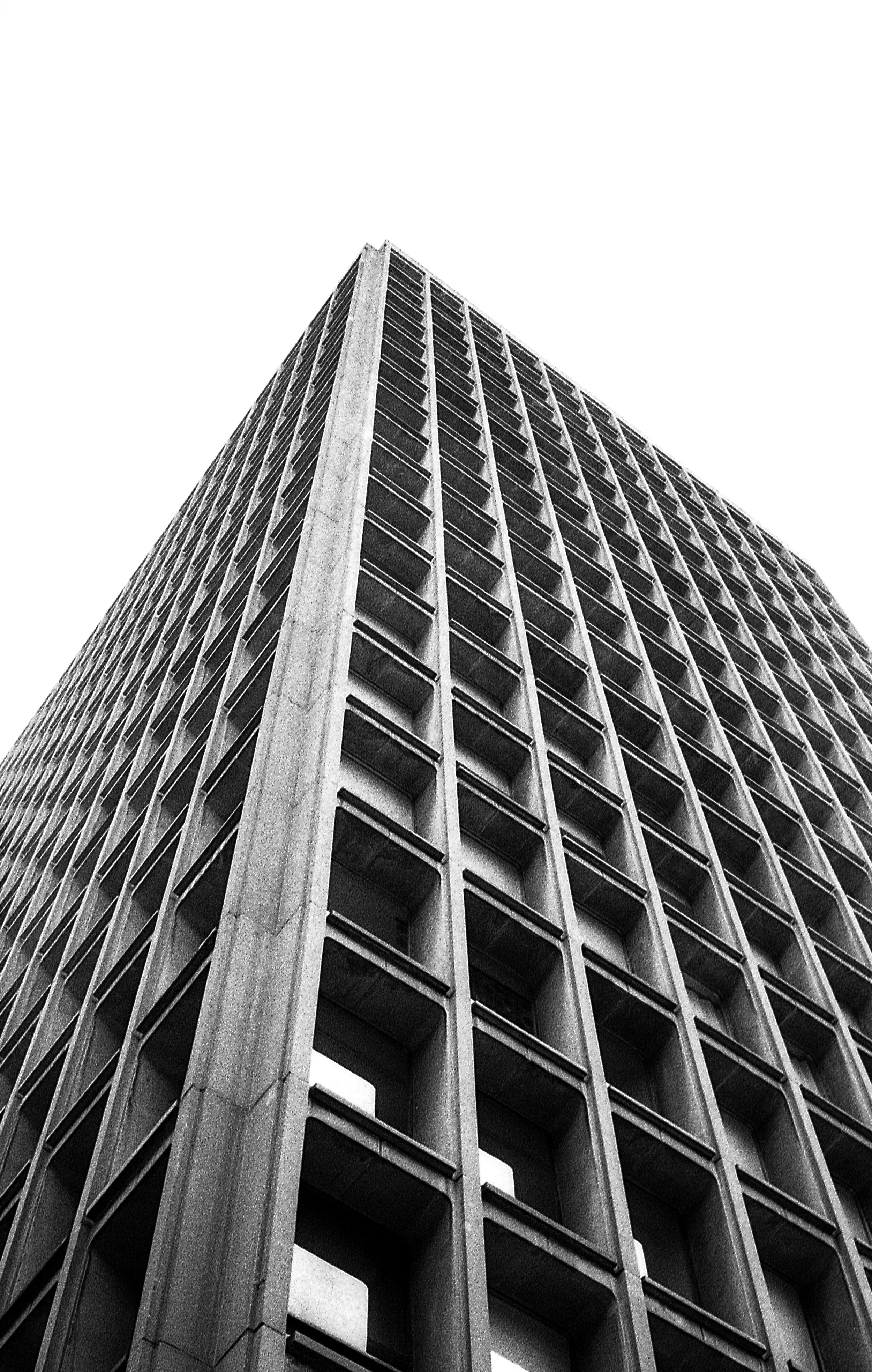 img798.jpg