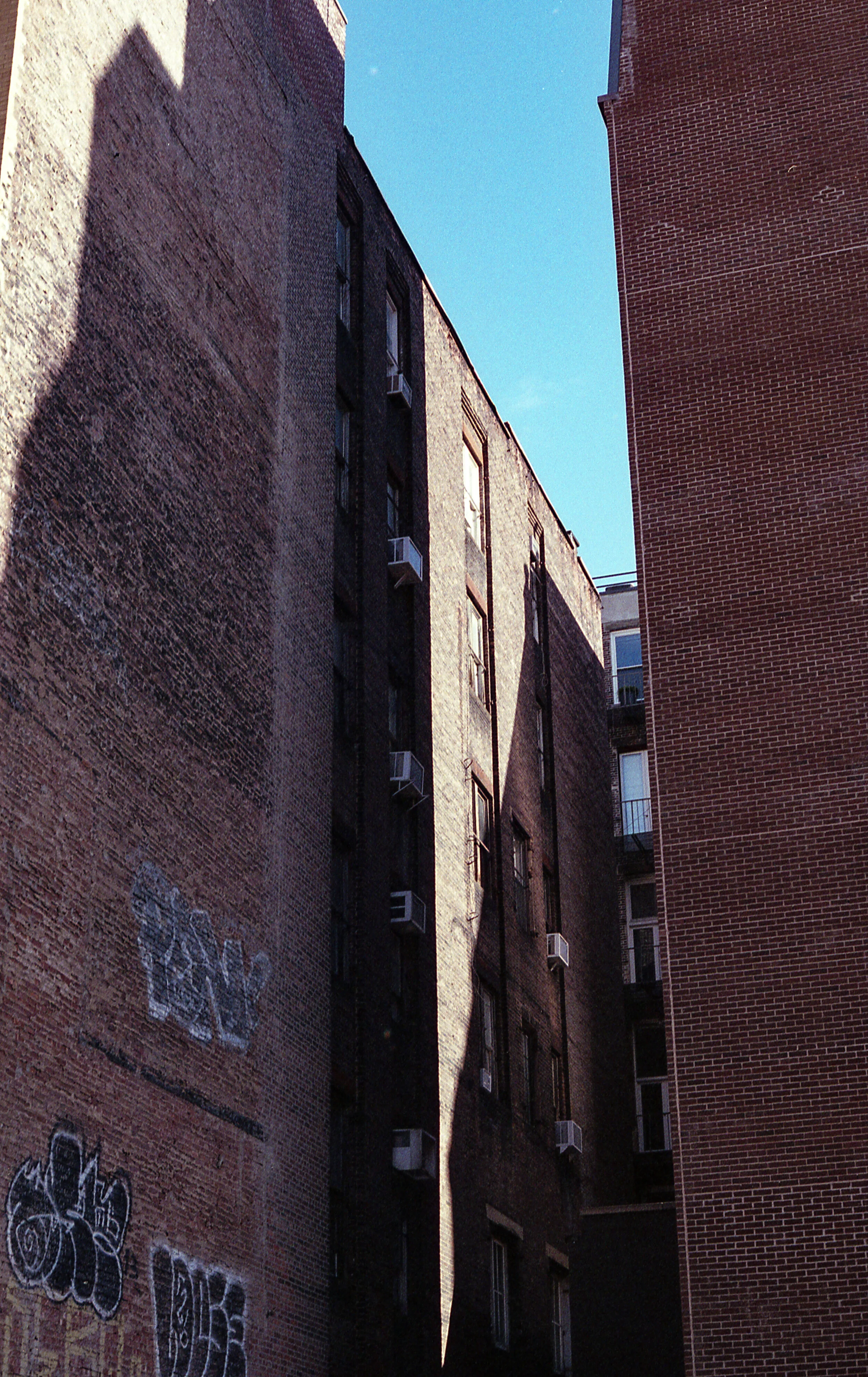 img931.jpg