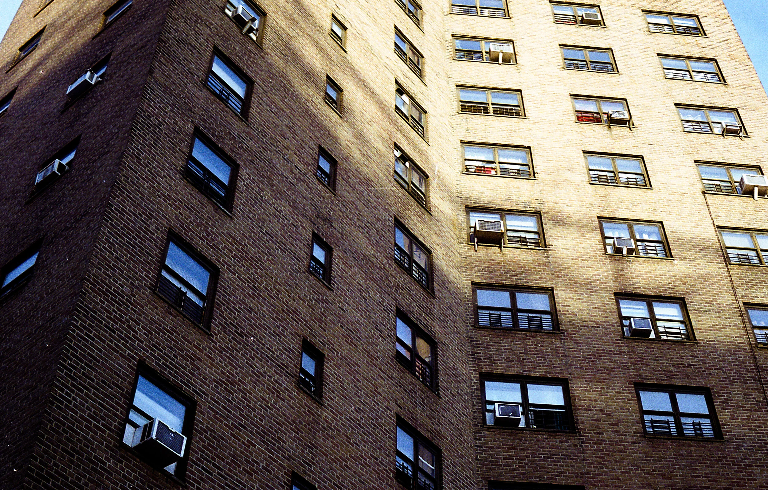 img437.jpg