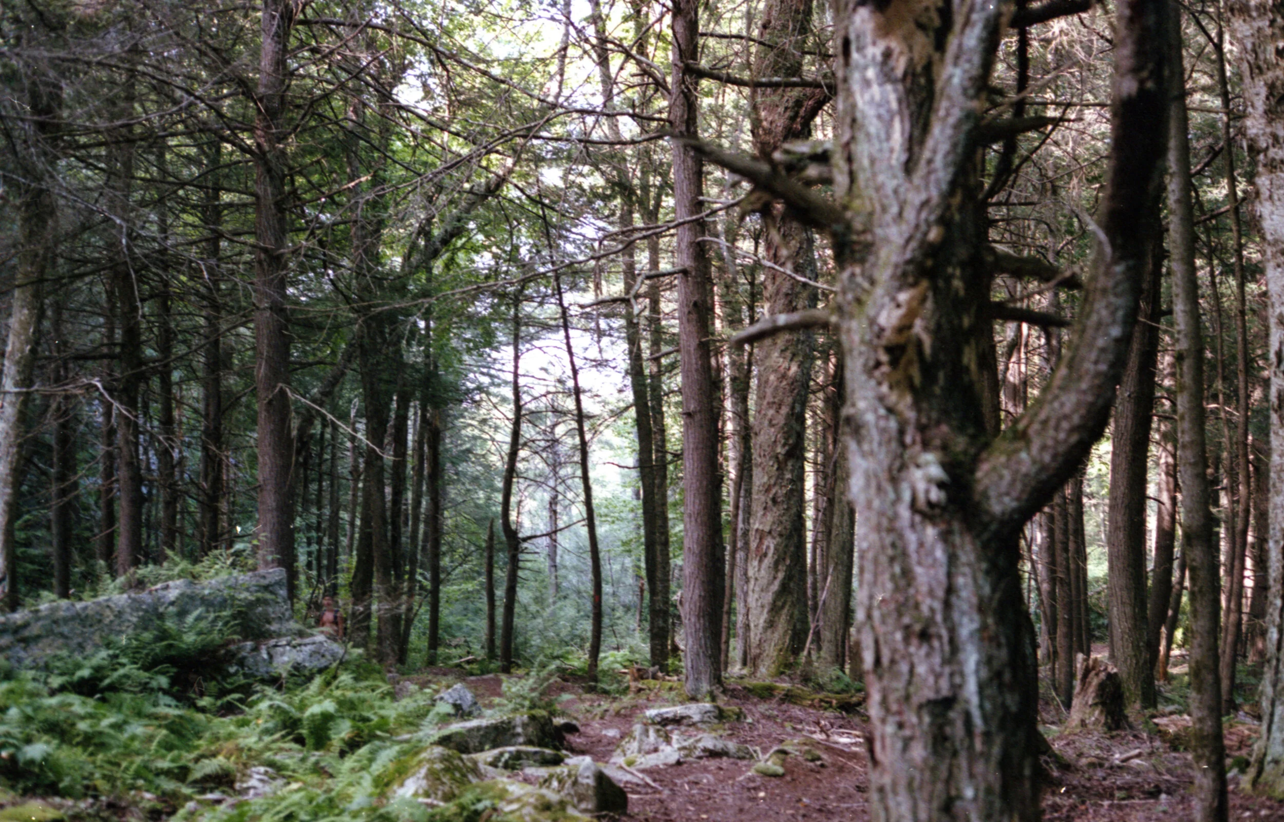 img592.jpg