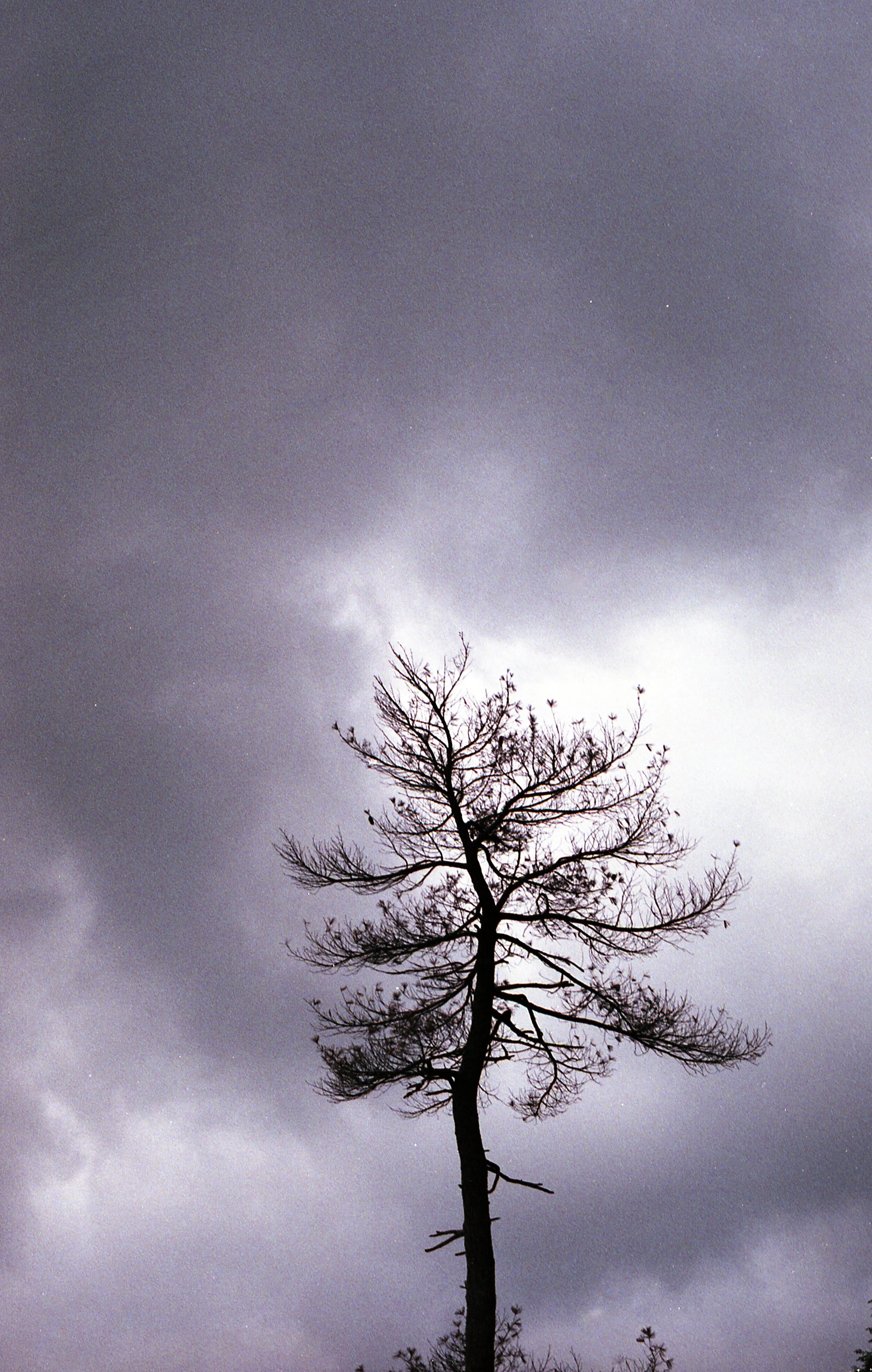 img587.jpg