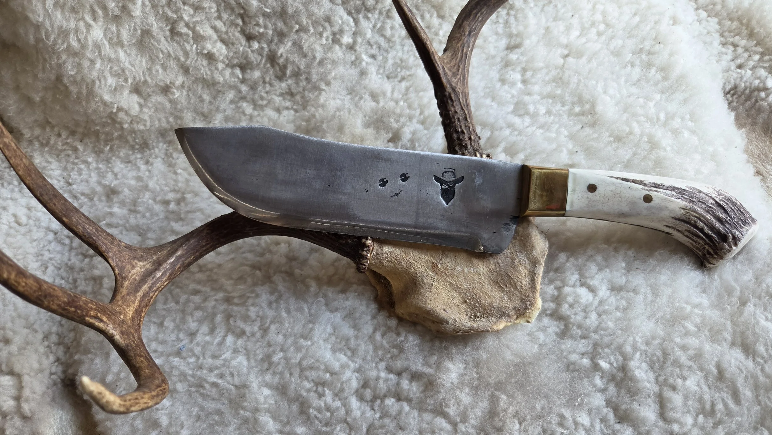Limited Edition Bowie