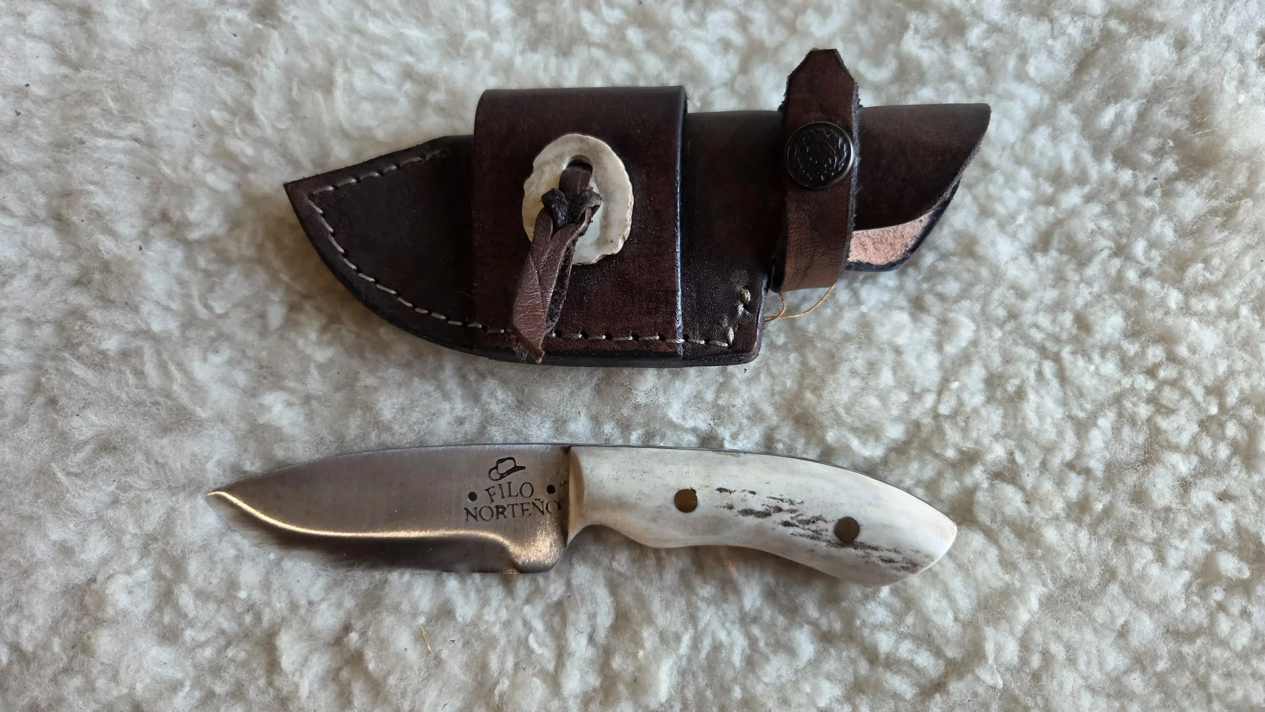 processed_9ce54c246e064bb8b851543f4e0e6790.jpg
