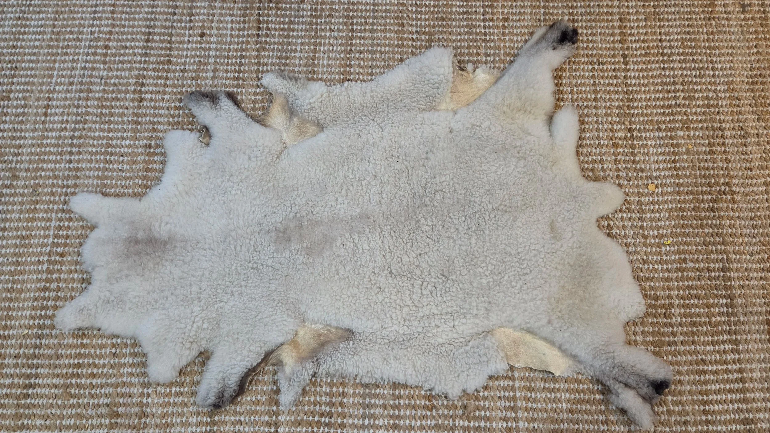 Sheep Skin Pelt