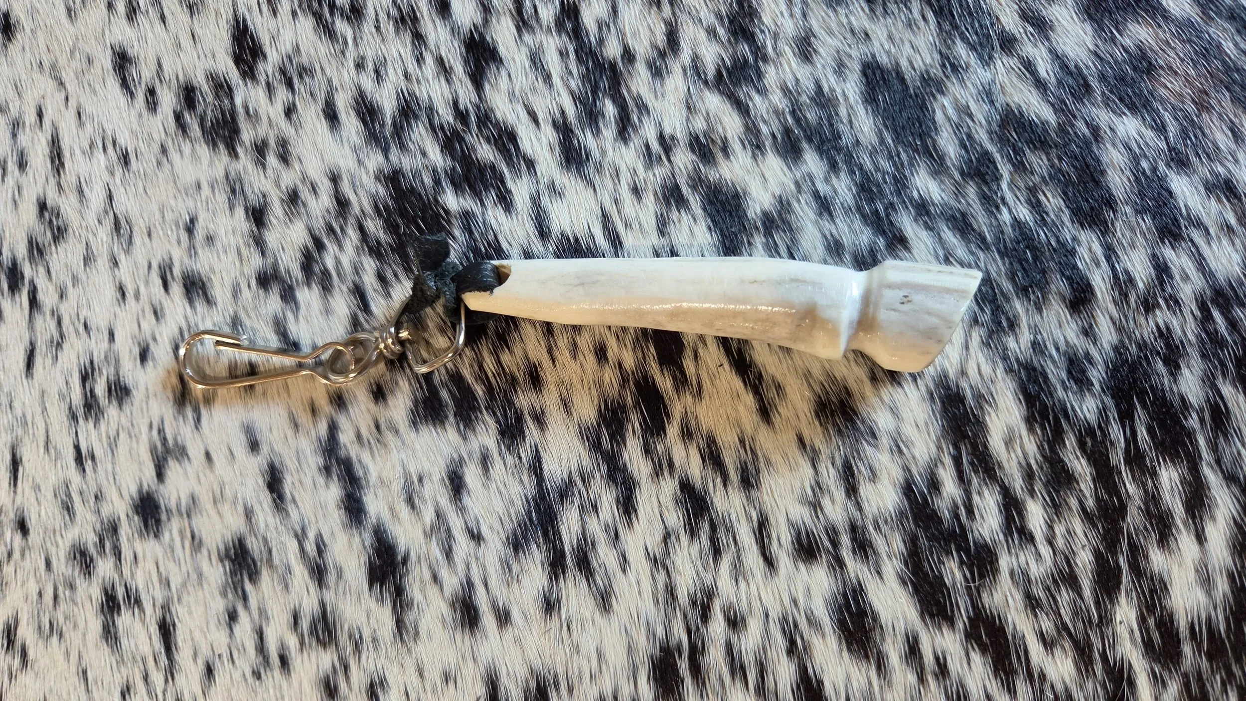 processed_fe87e5f4fea2428a95e81864d5f02536.jpg