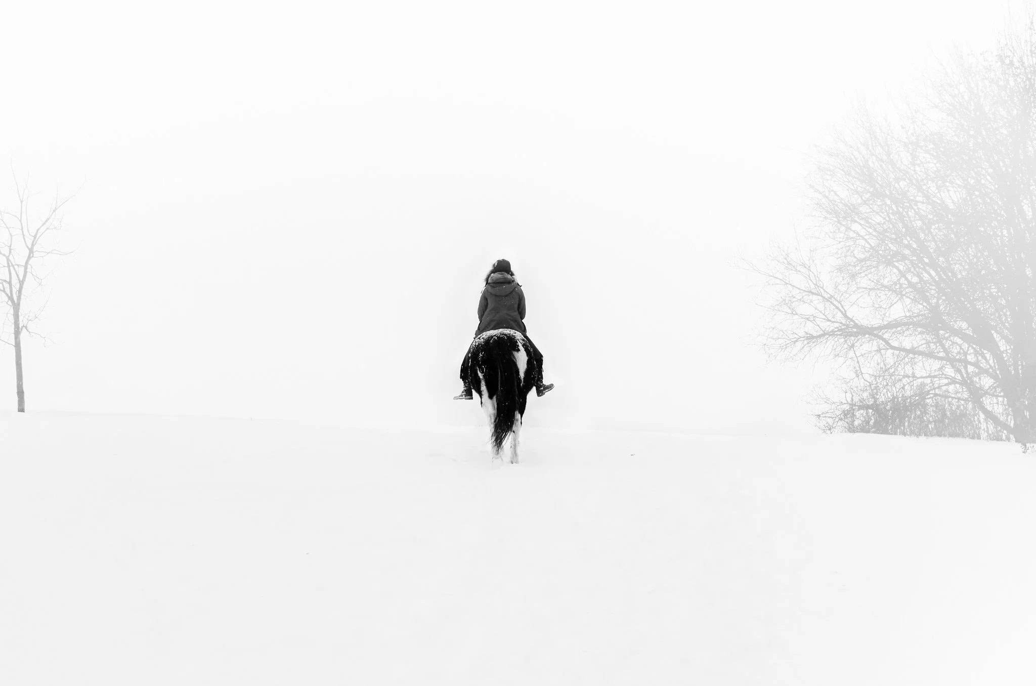 Art Pieces - currently unavailable