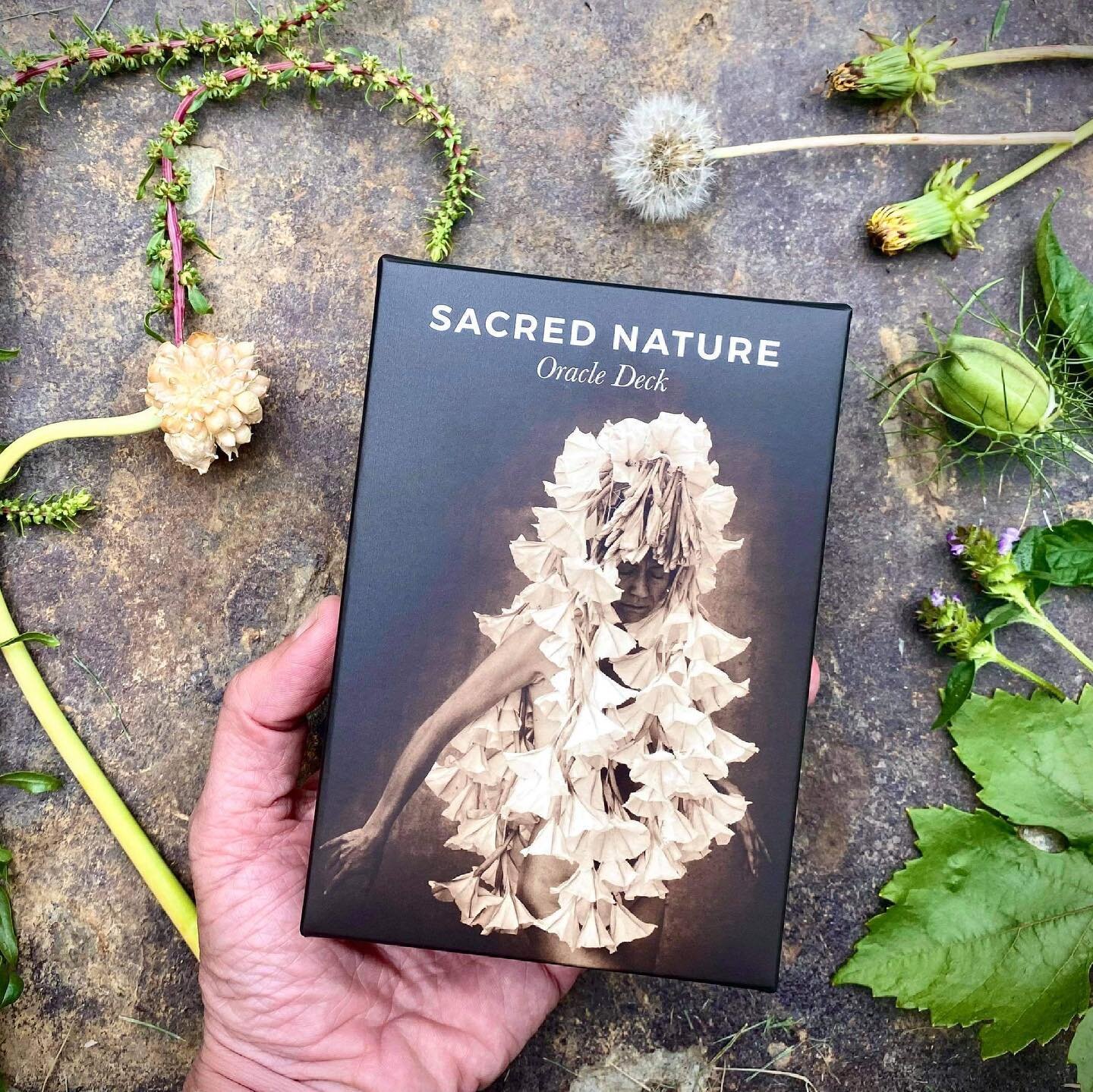 I&rsquo;m holding the deck! It&rsquo;s arrived. Wow that was an epic ride!Thank you everyone. 💚🌿yippie oh yeah!

I pulled yarrow from the deck and it feels appropriate as it calls in the energy of &lsquo;alignment&rsquo;. This project was about pra