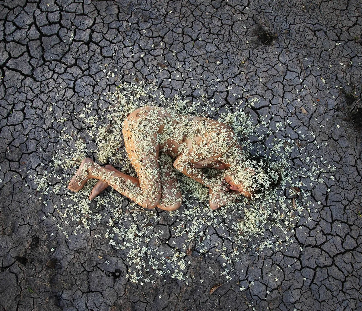 8- Spring, Mexico.jpg