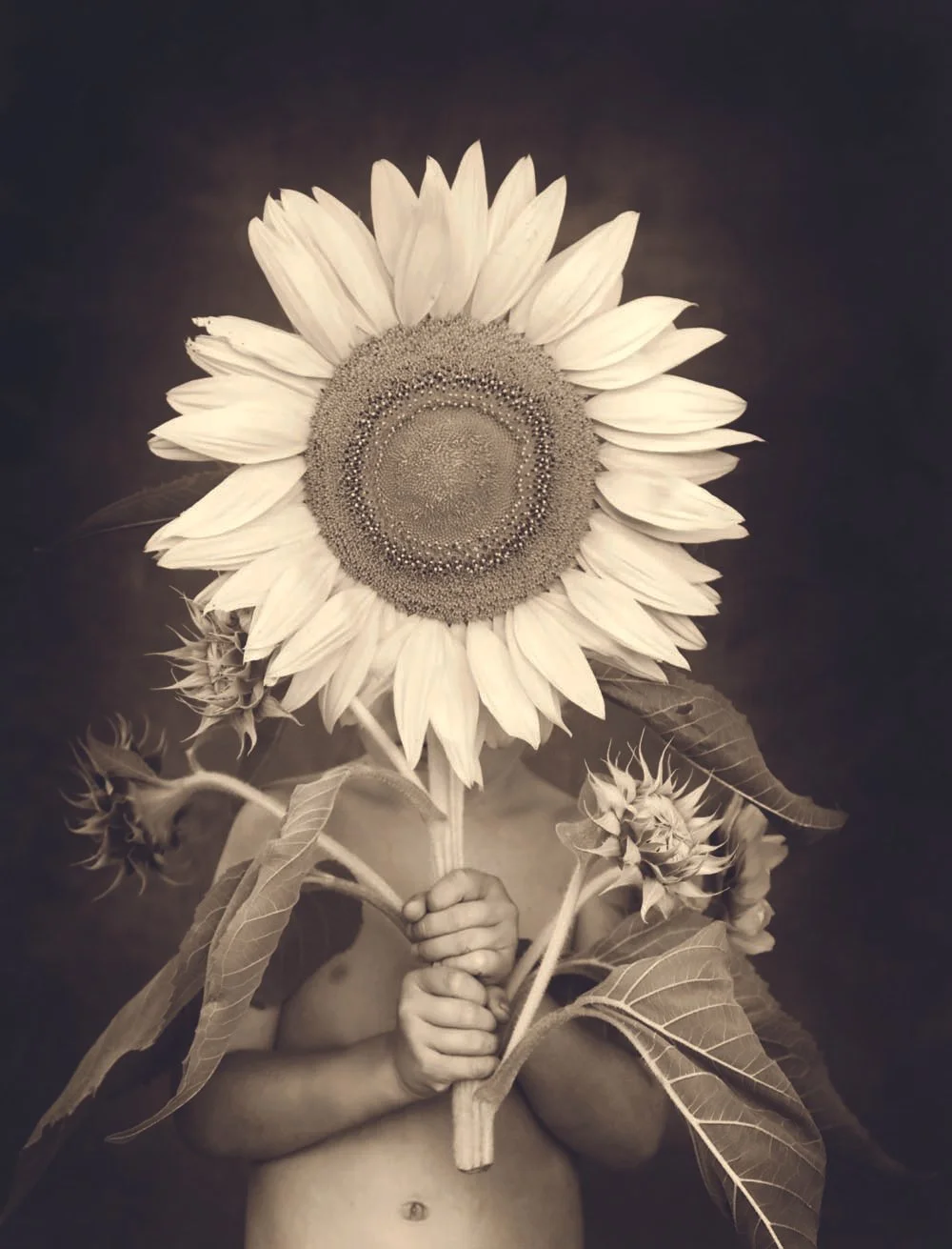 14- Sunflower Child.jpg
