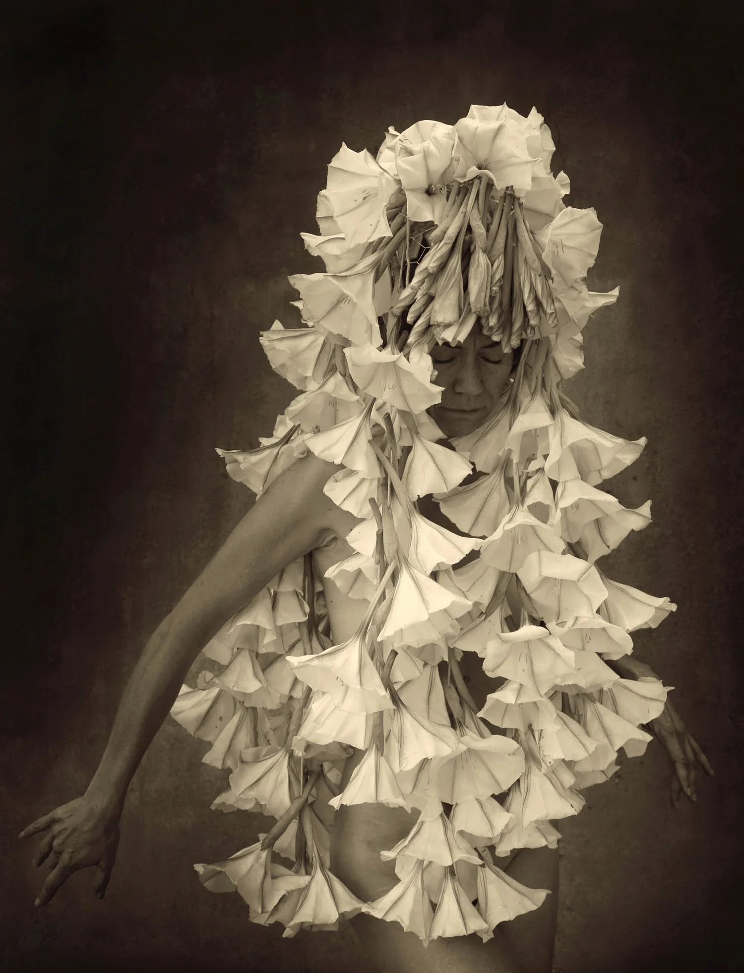 12- Sacred Datura.jpg