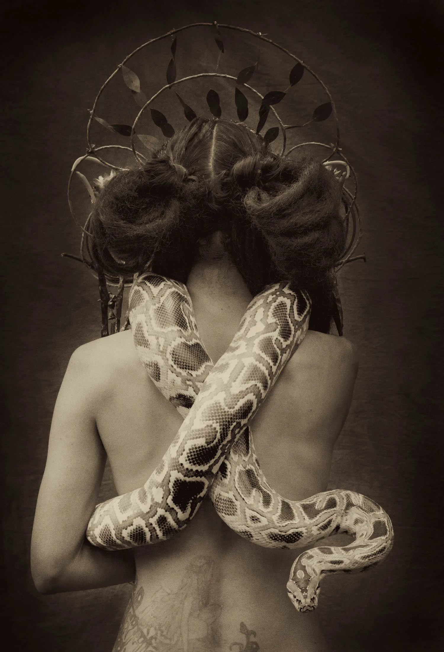 Snake Medicine