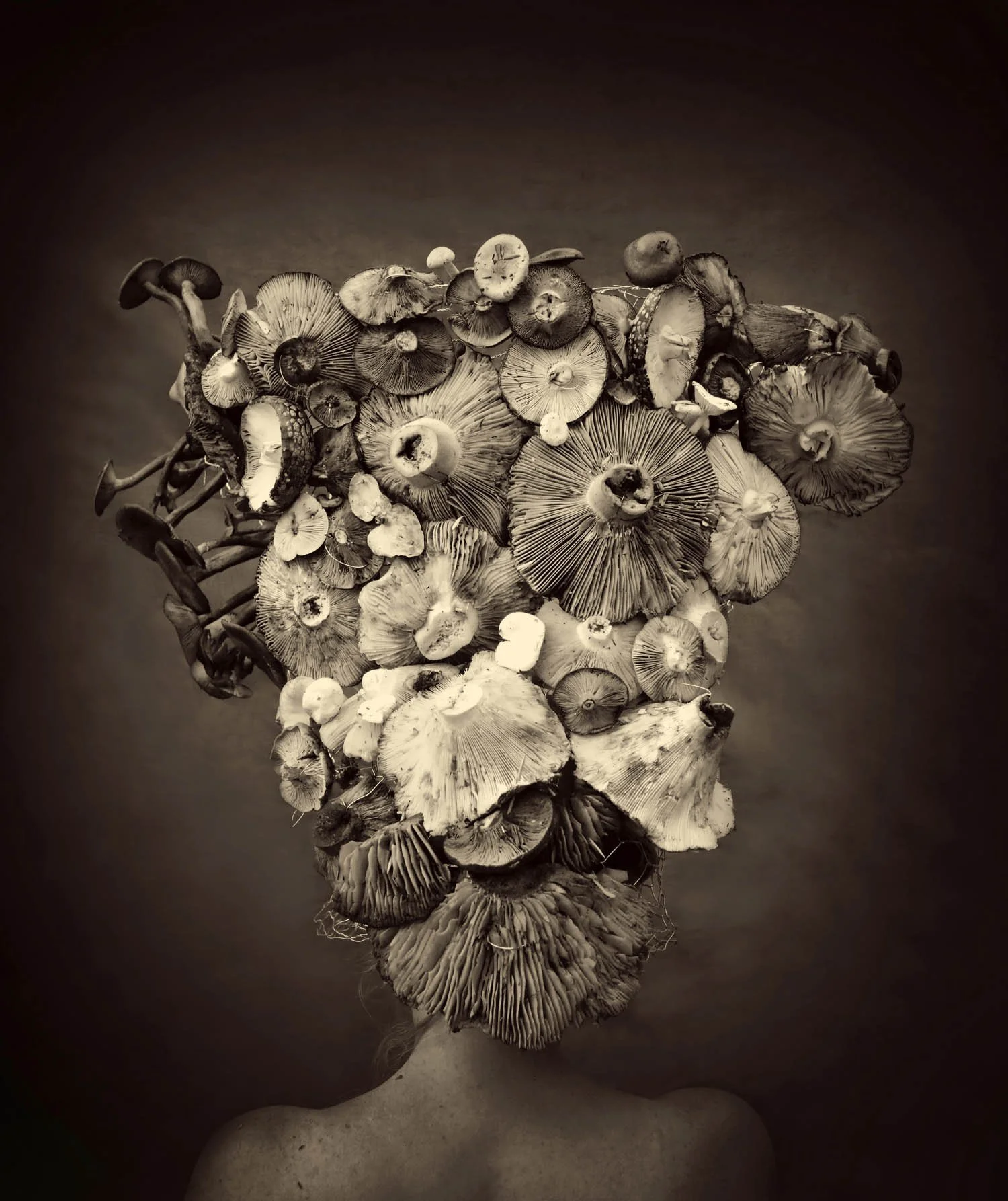 8- Mushroom.jpg
