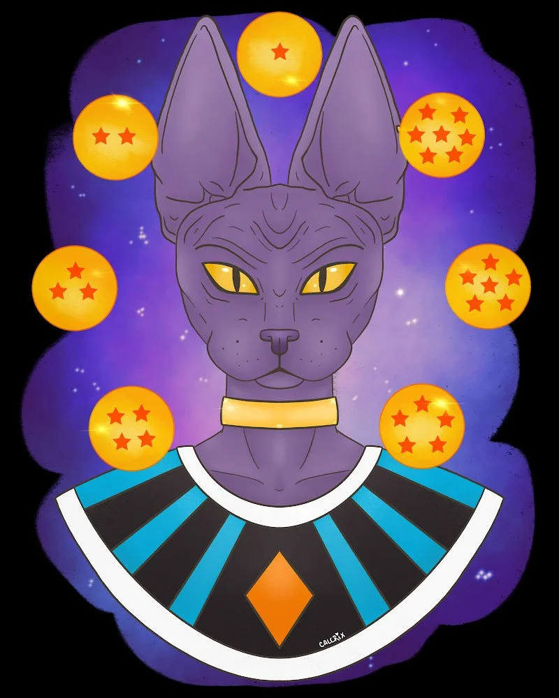 Beerus.jpg
