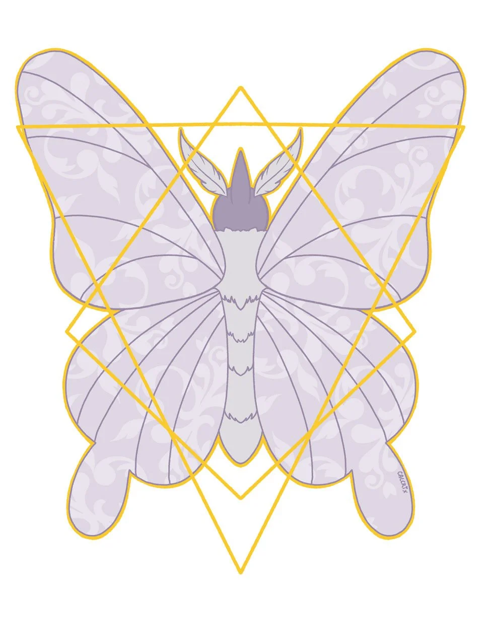 Venomoth.jpg
