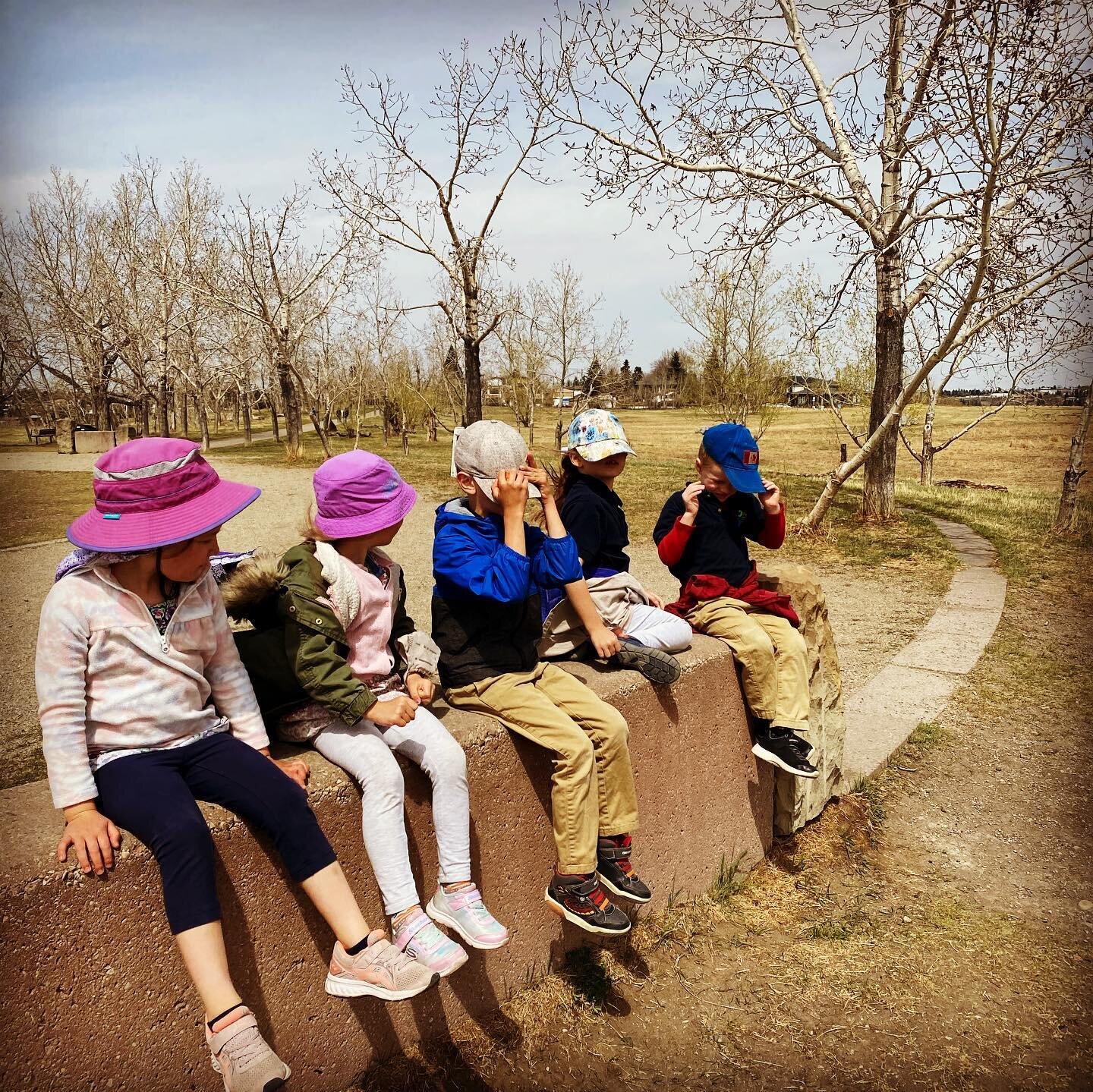 Hold on to your hats for crocus hunting folks! #windyday #goplayoutside #tomcambellhill