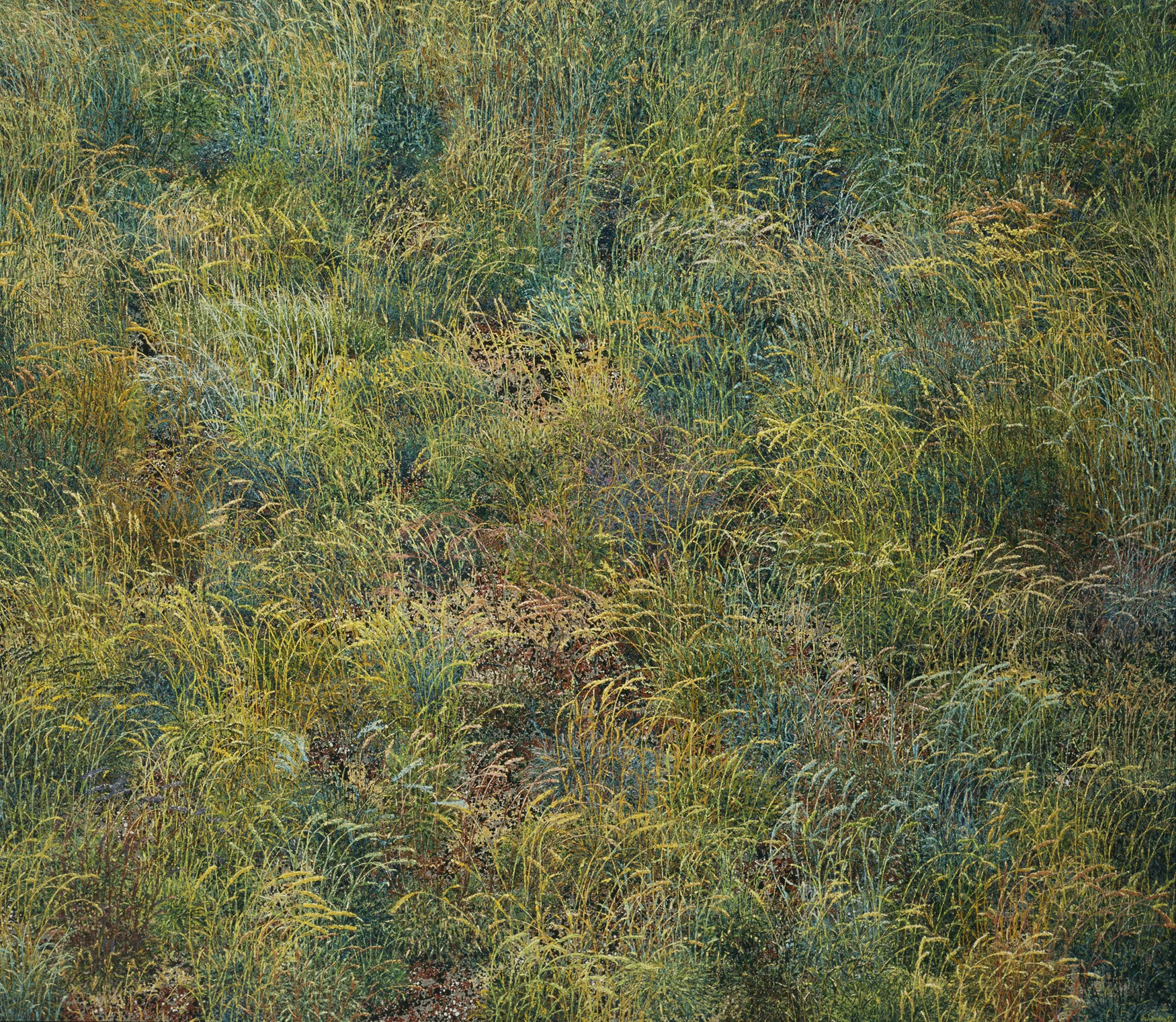 Ferguson's Pasture