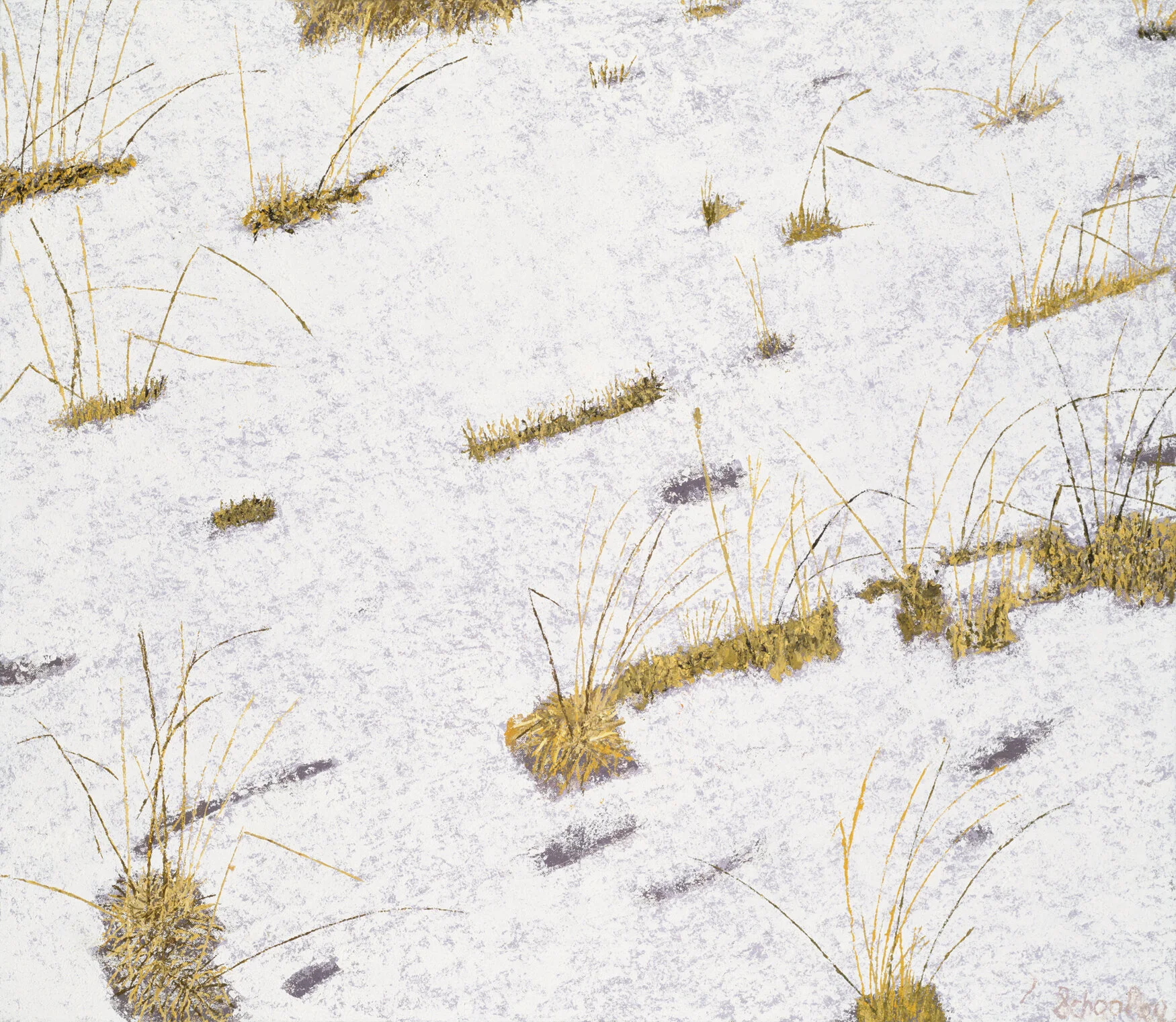 Winter Pasture